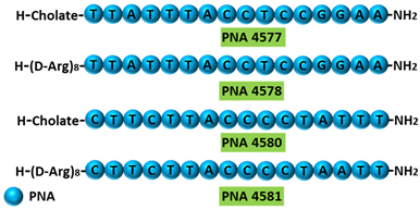 Cancers 13 05555 i005 Cancers 13 05555 i005