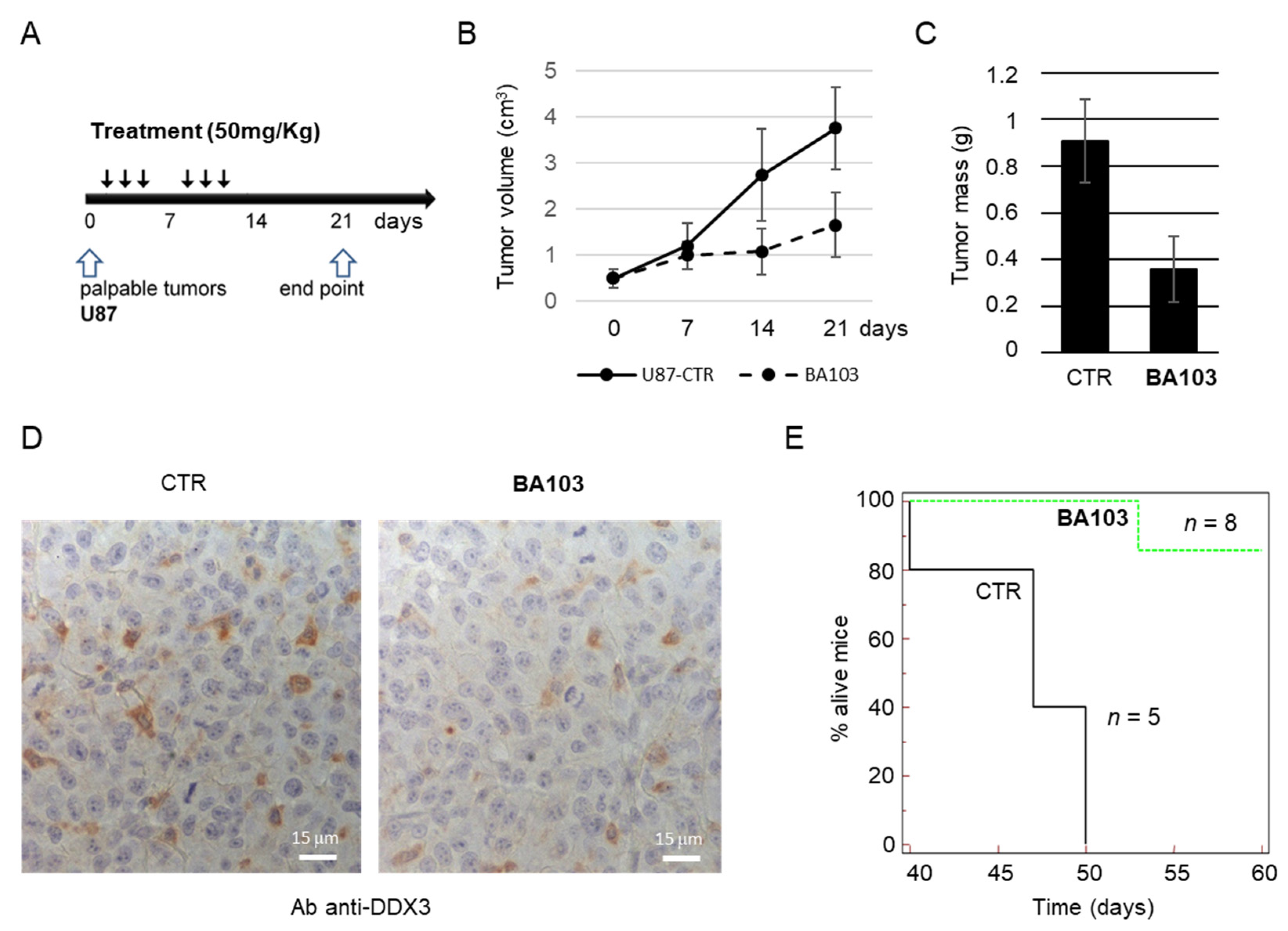 Cancers 13 05569 g009 550
