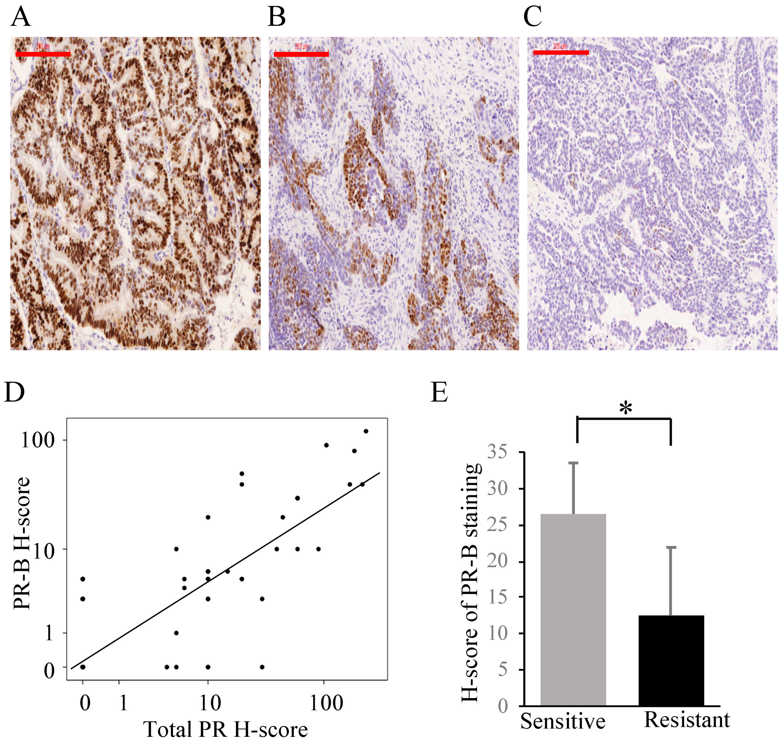 Cancers 13 05578 g001 Cancers 13 05578 g001