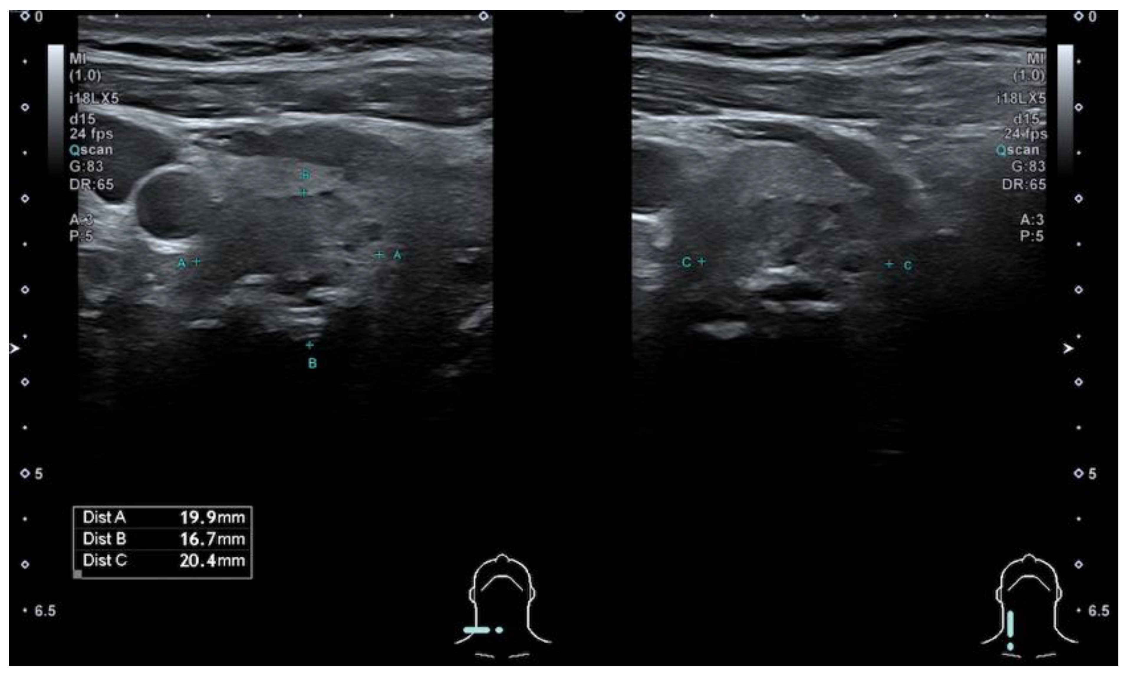 Cancers 13 05581 g001