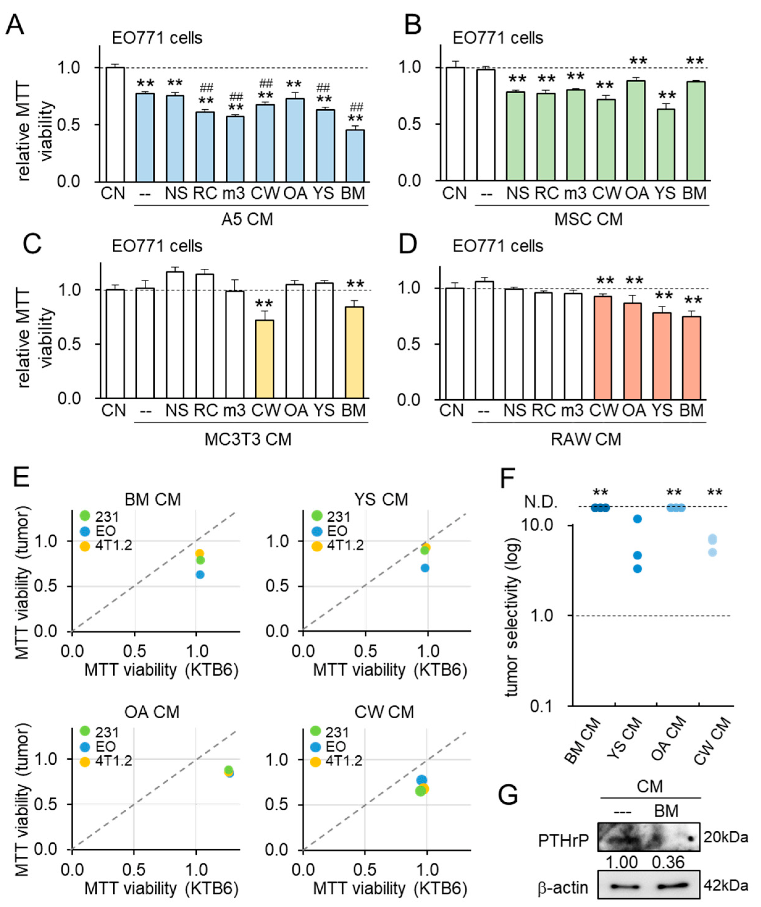 Cancers 13 05593 g002