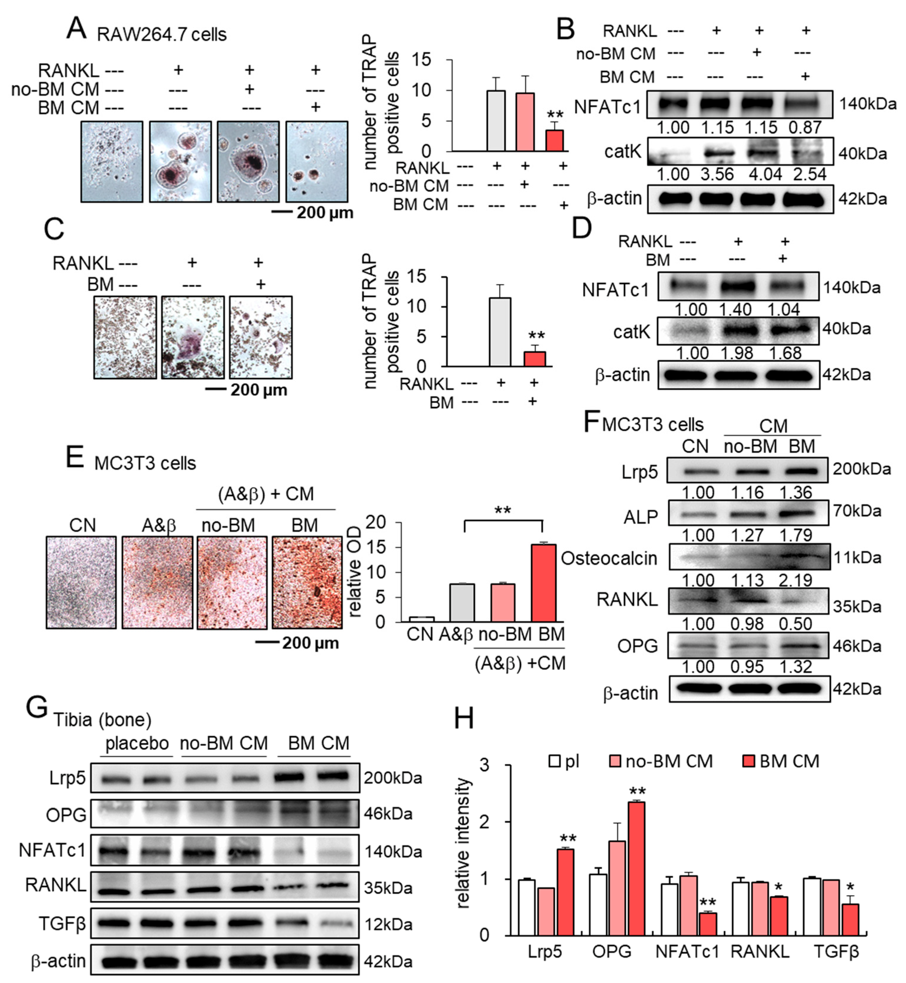 Cancers 13 05593 g006