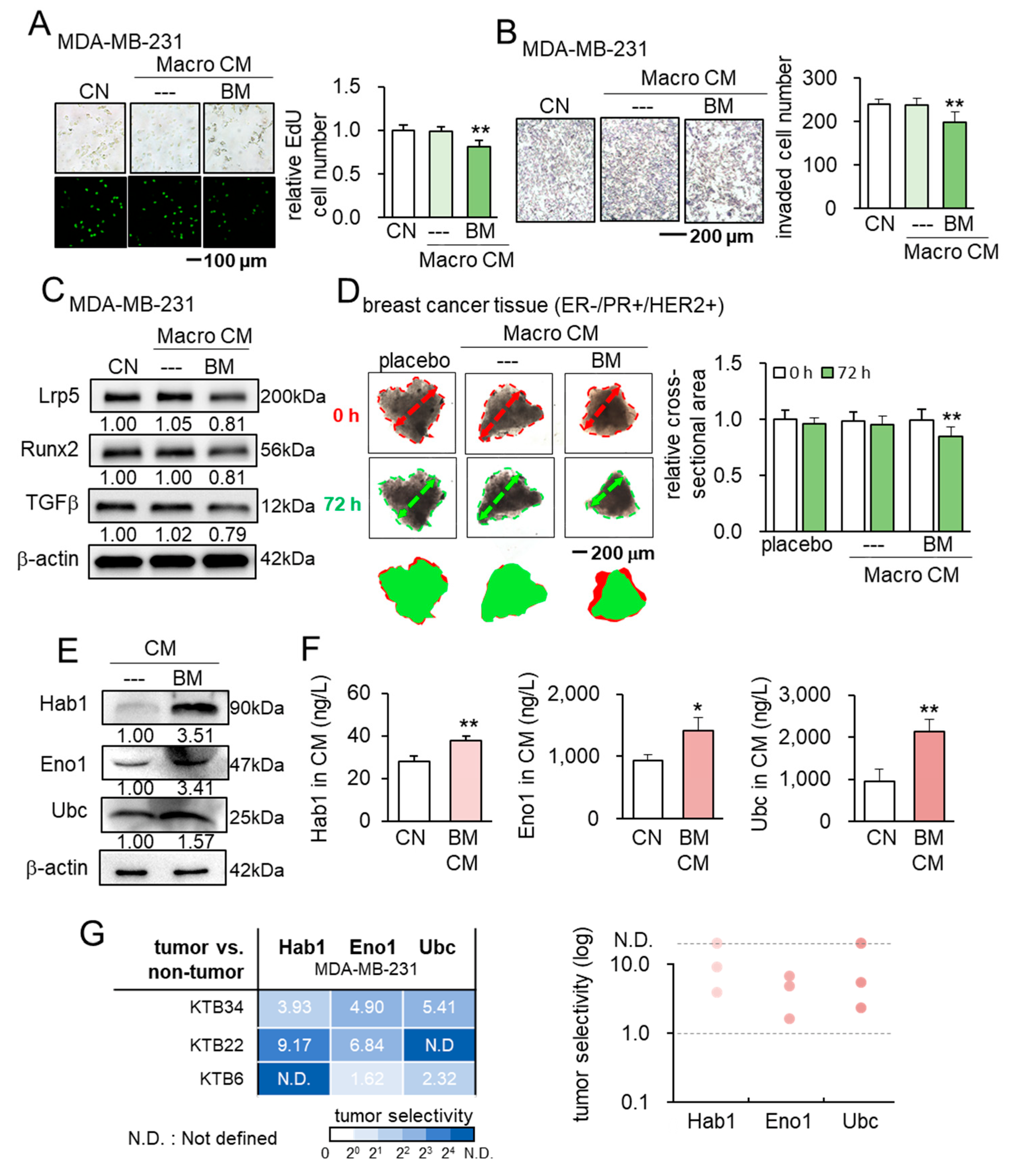 Cancers 13 05593 g007