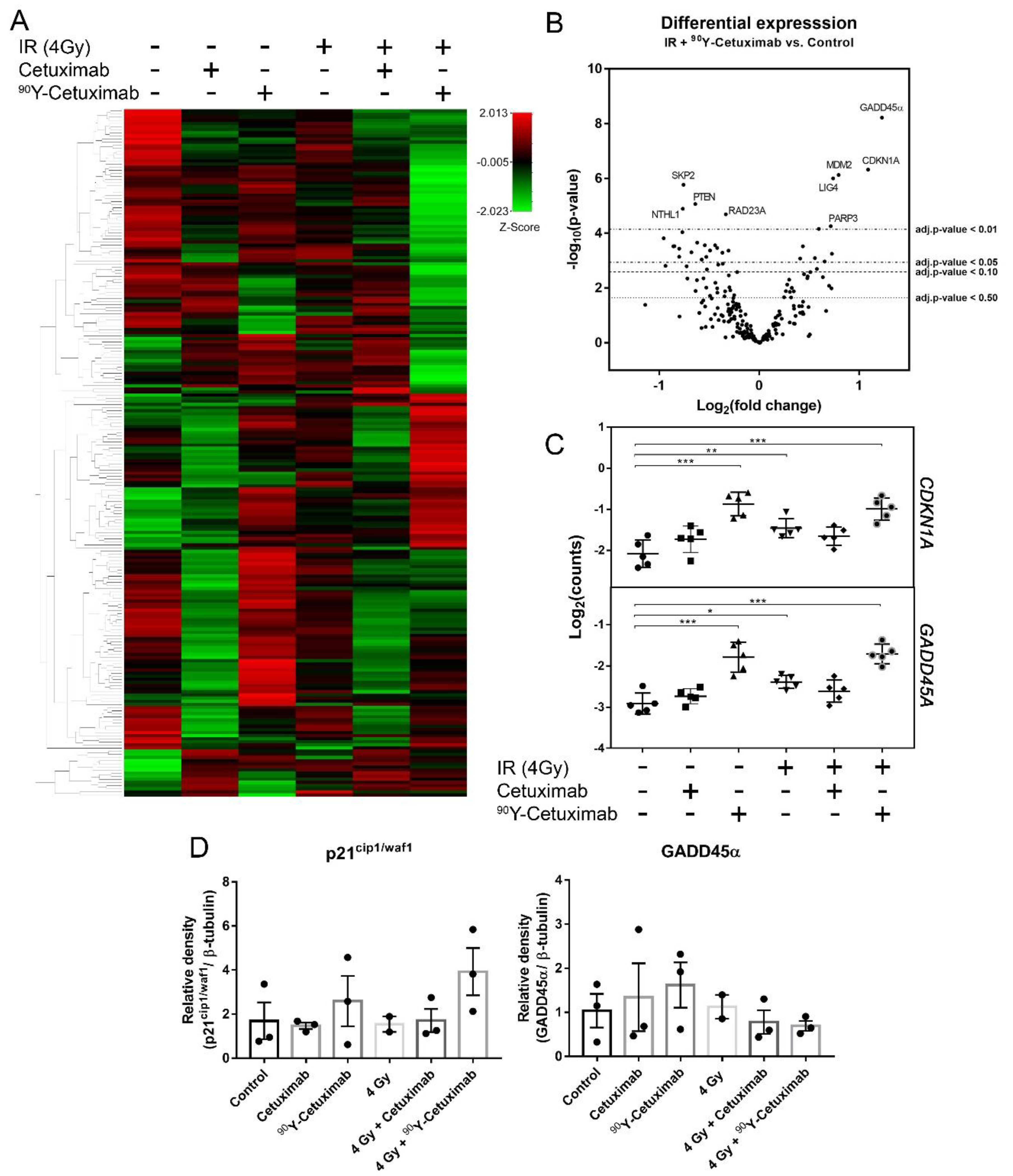 Cancers 13 05595 g003