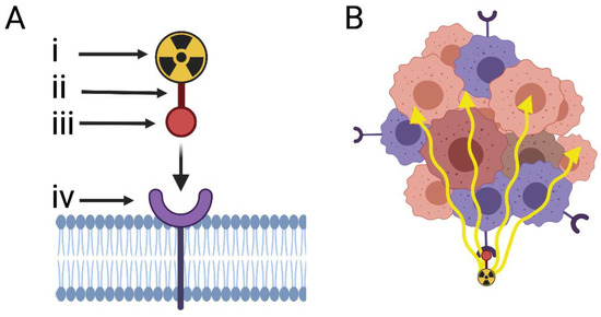 Cancers | Free Full-Text | The Protein Landscape of Mucinous 