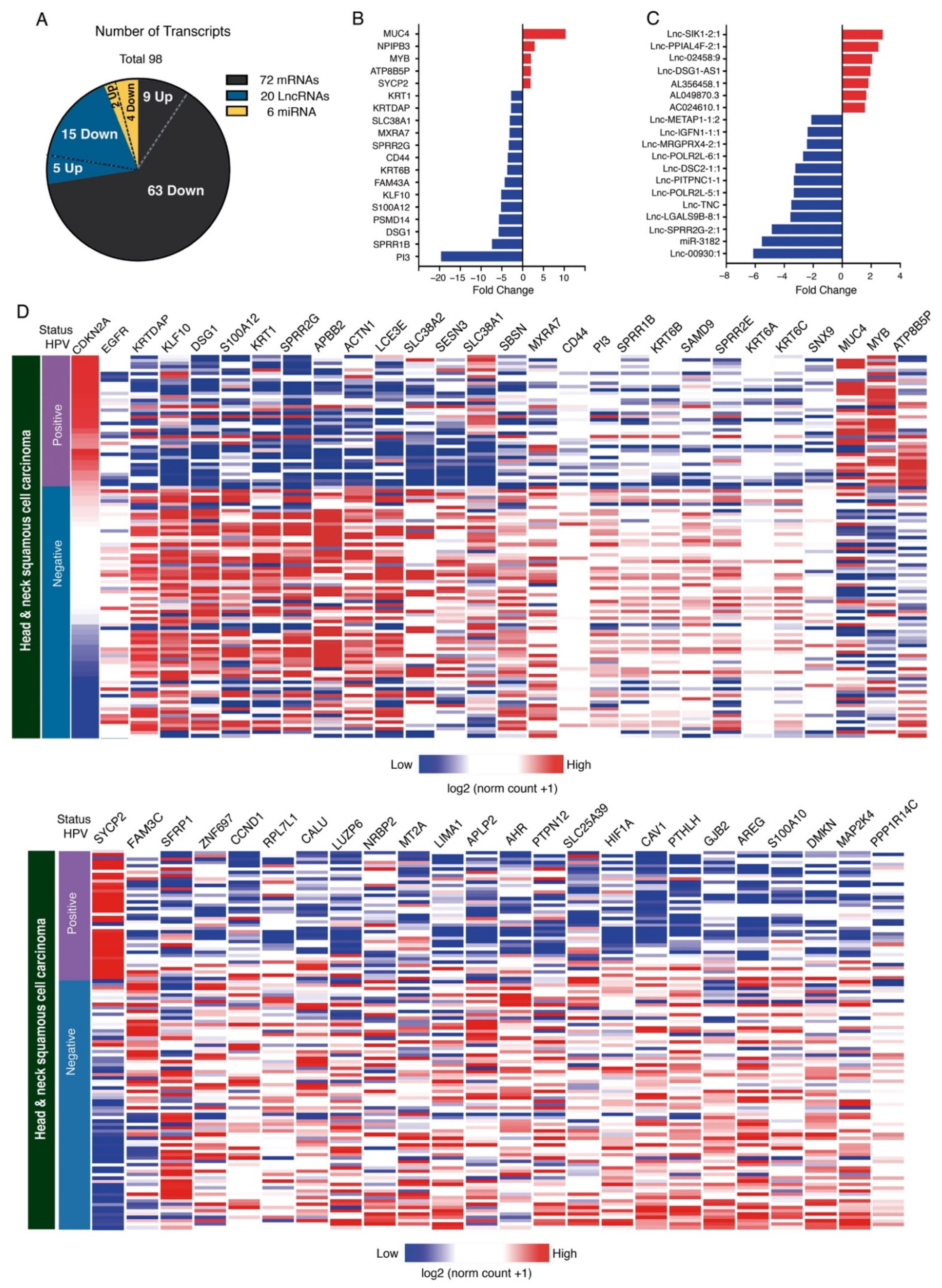 Cancers 13 05602 g002 Cancers 13 05602 g002