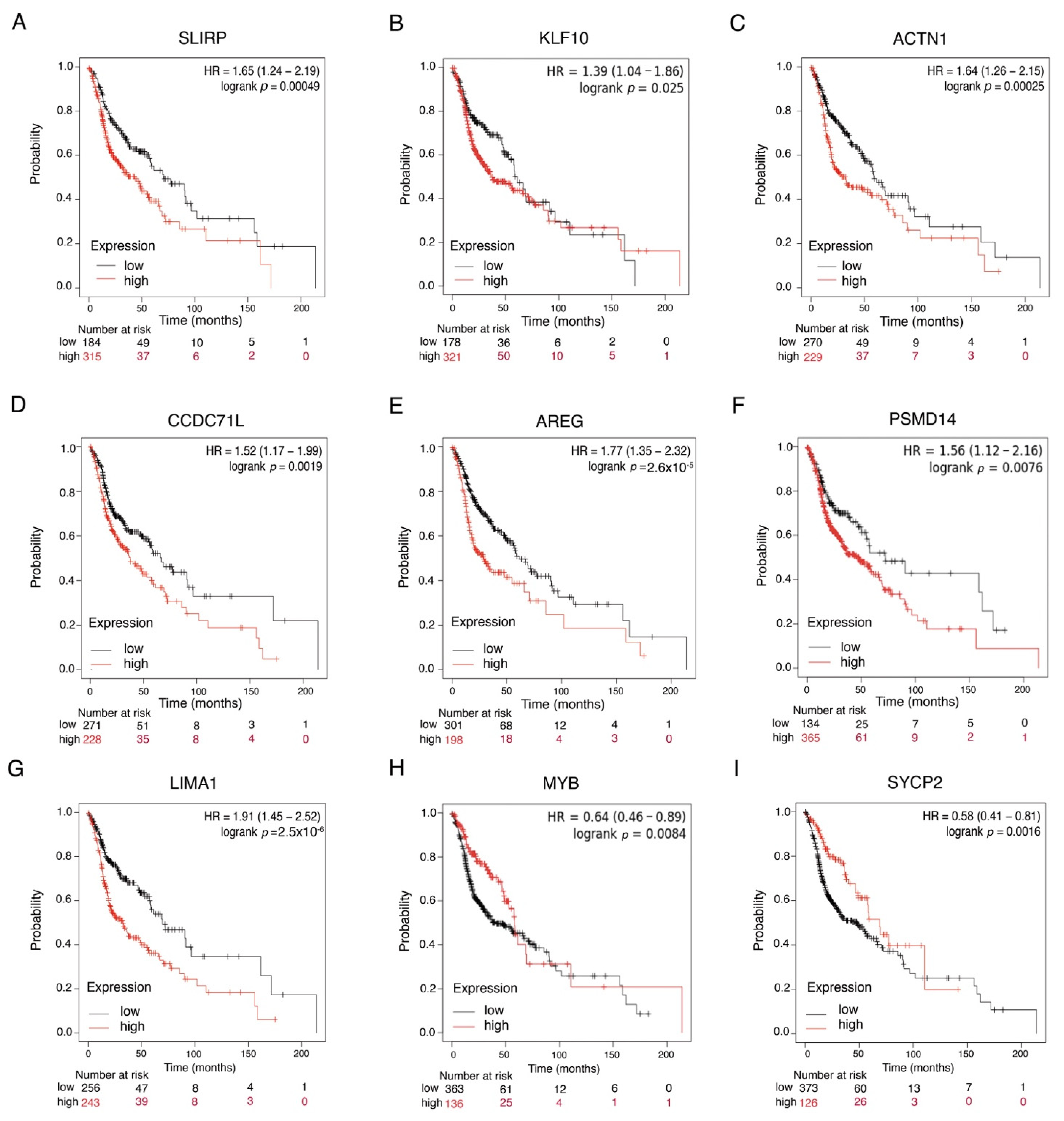 Cancers 13 05602 g004 Cancers 13 05602 g004