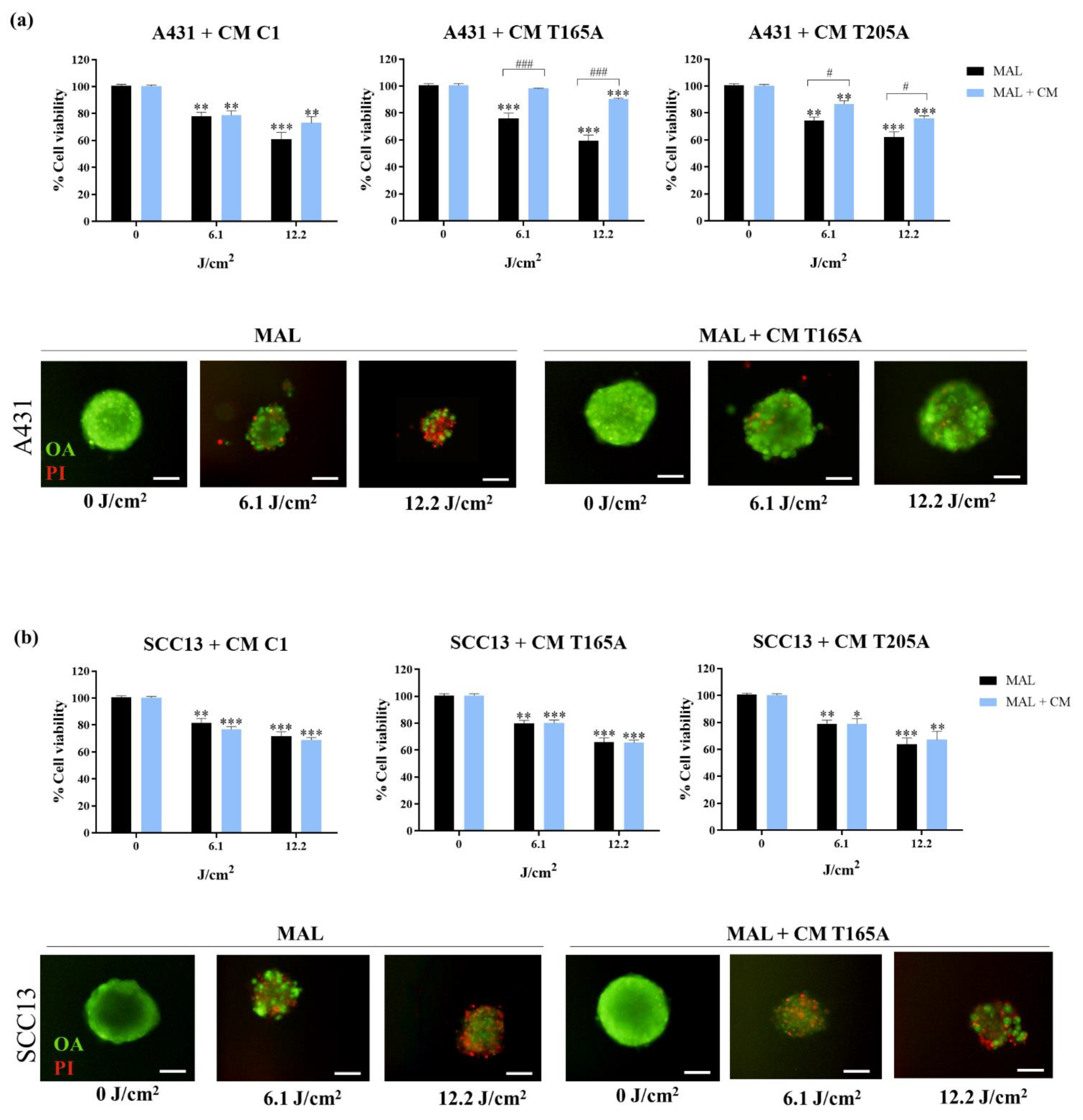 Cancers 13 05613 g005 550