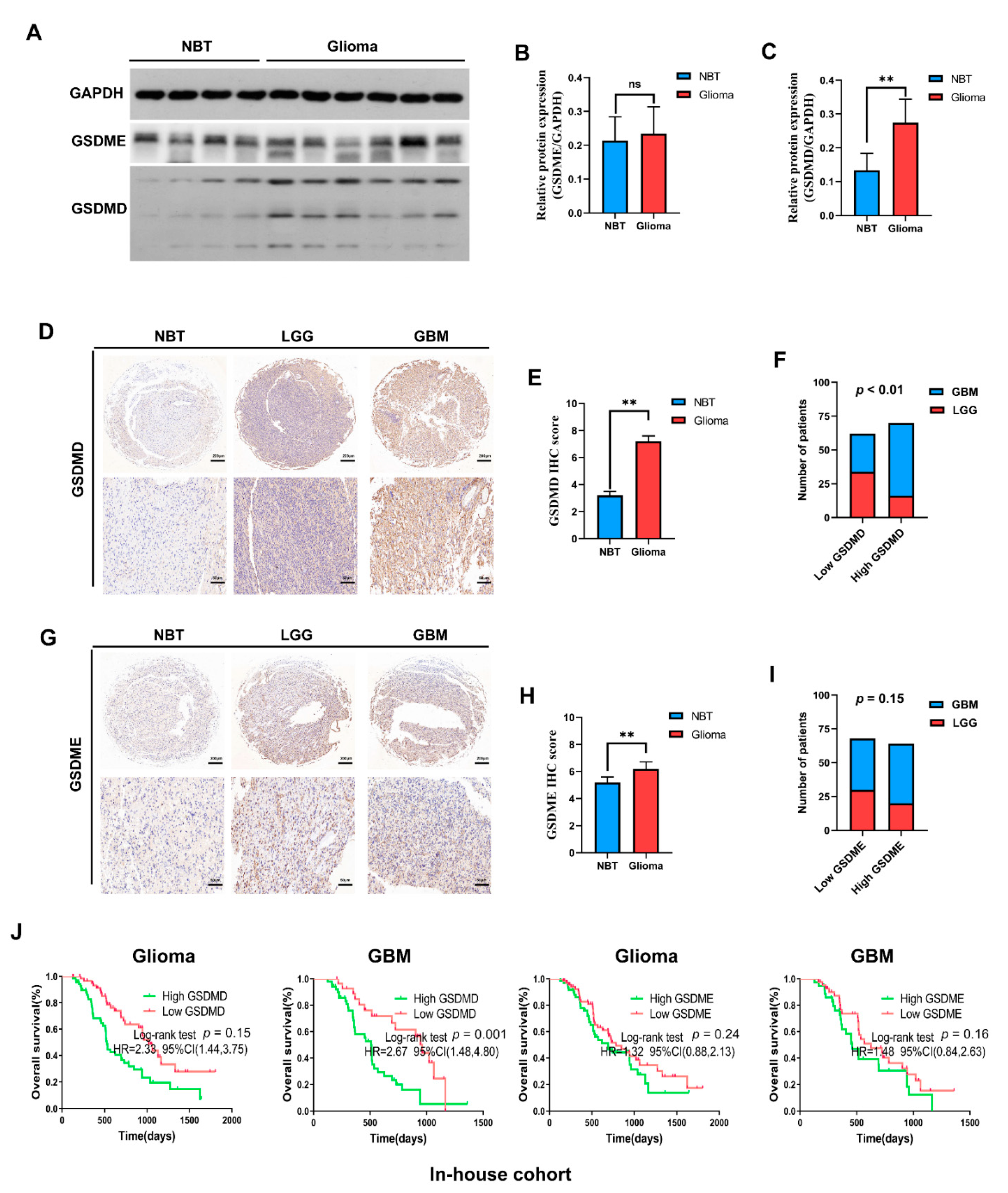 Cancers 13 05620 g005 550
