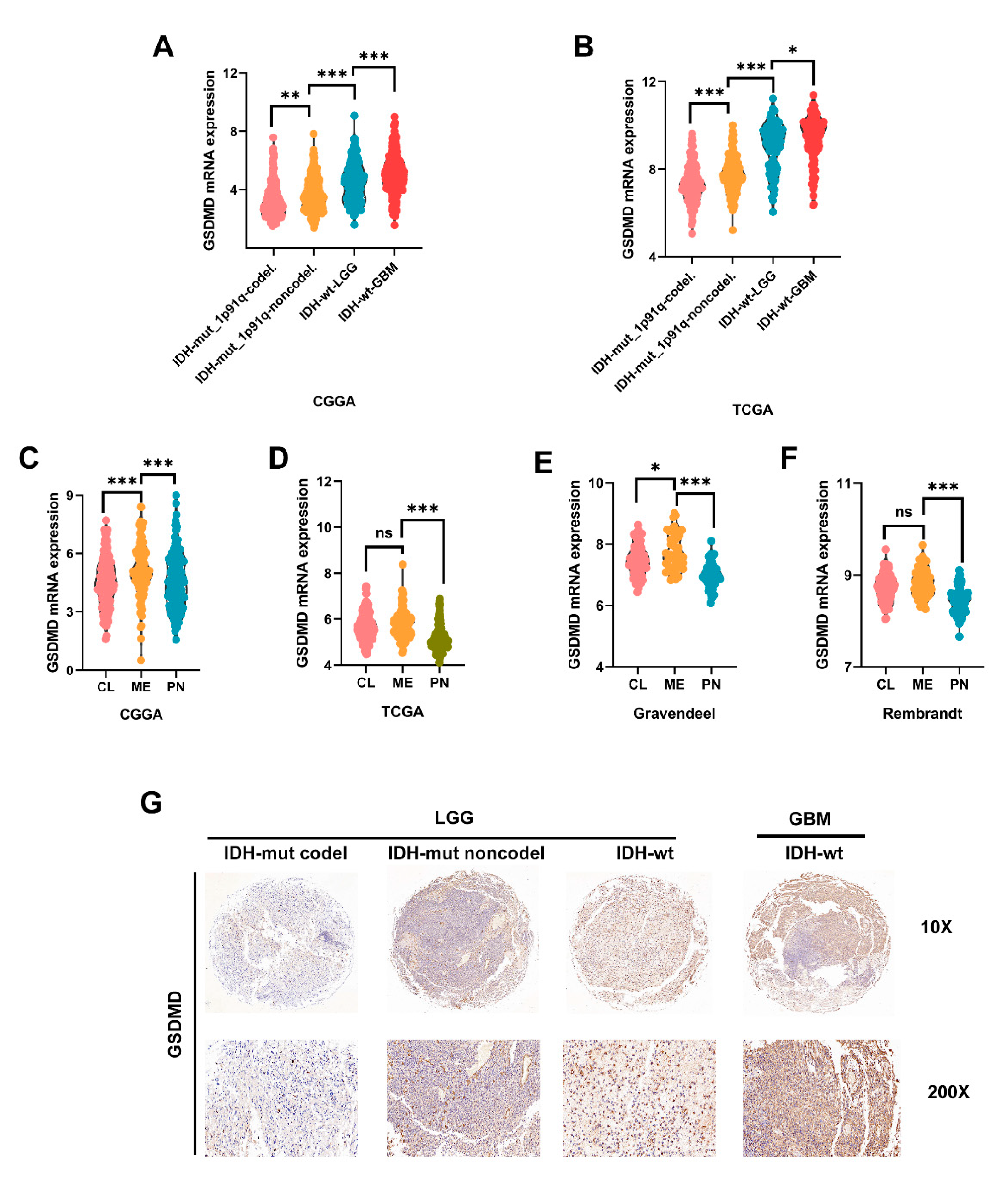 Cancers 13 05620 g006 550