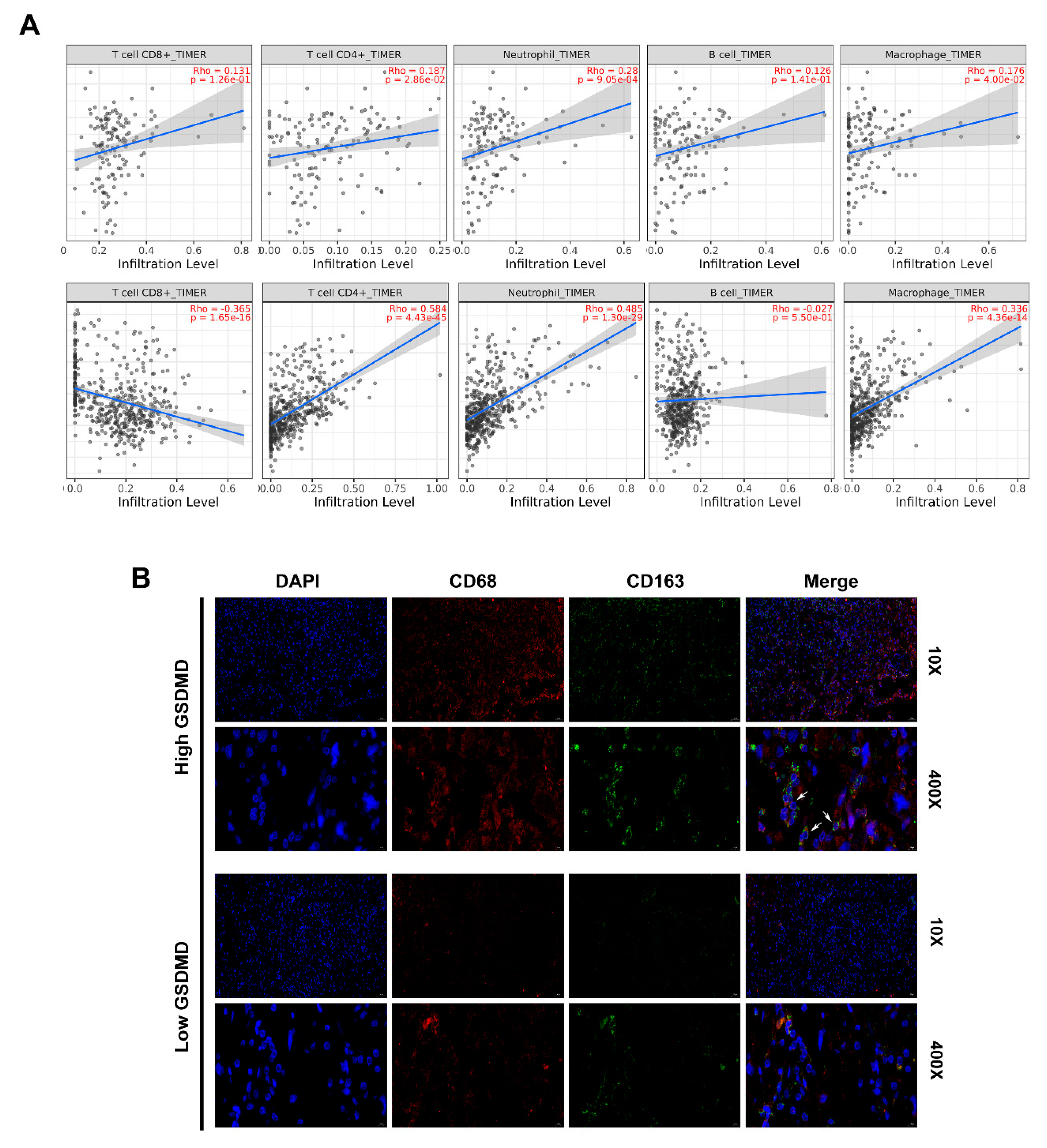 Cancers 13 05620 g007 550