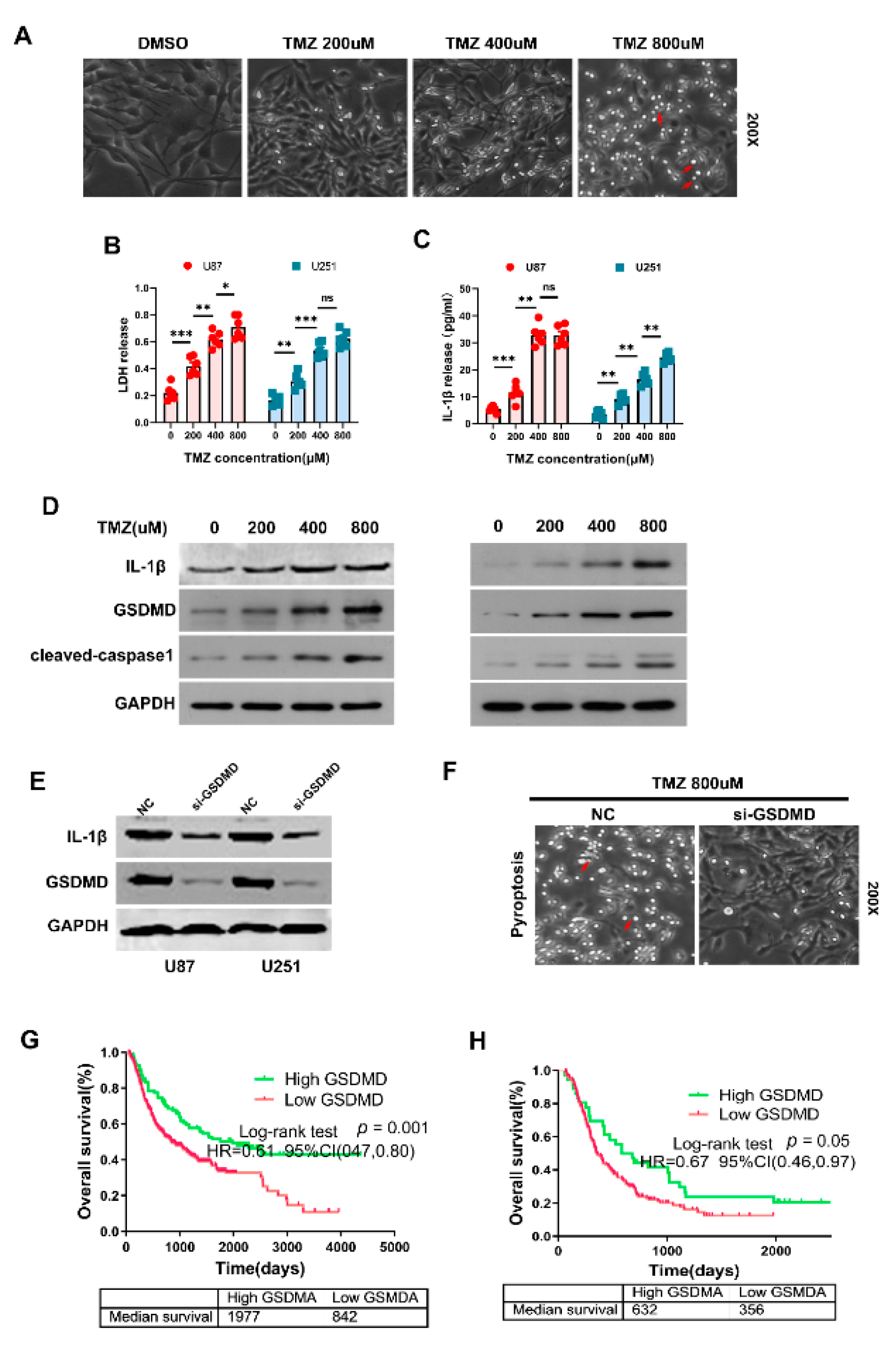 Cancers 13 05620 g008 550