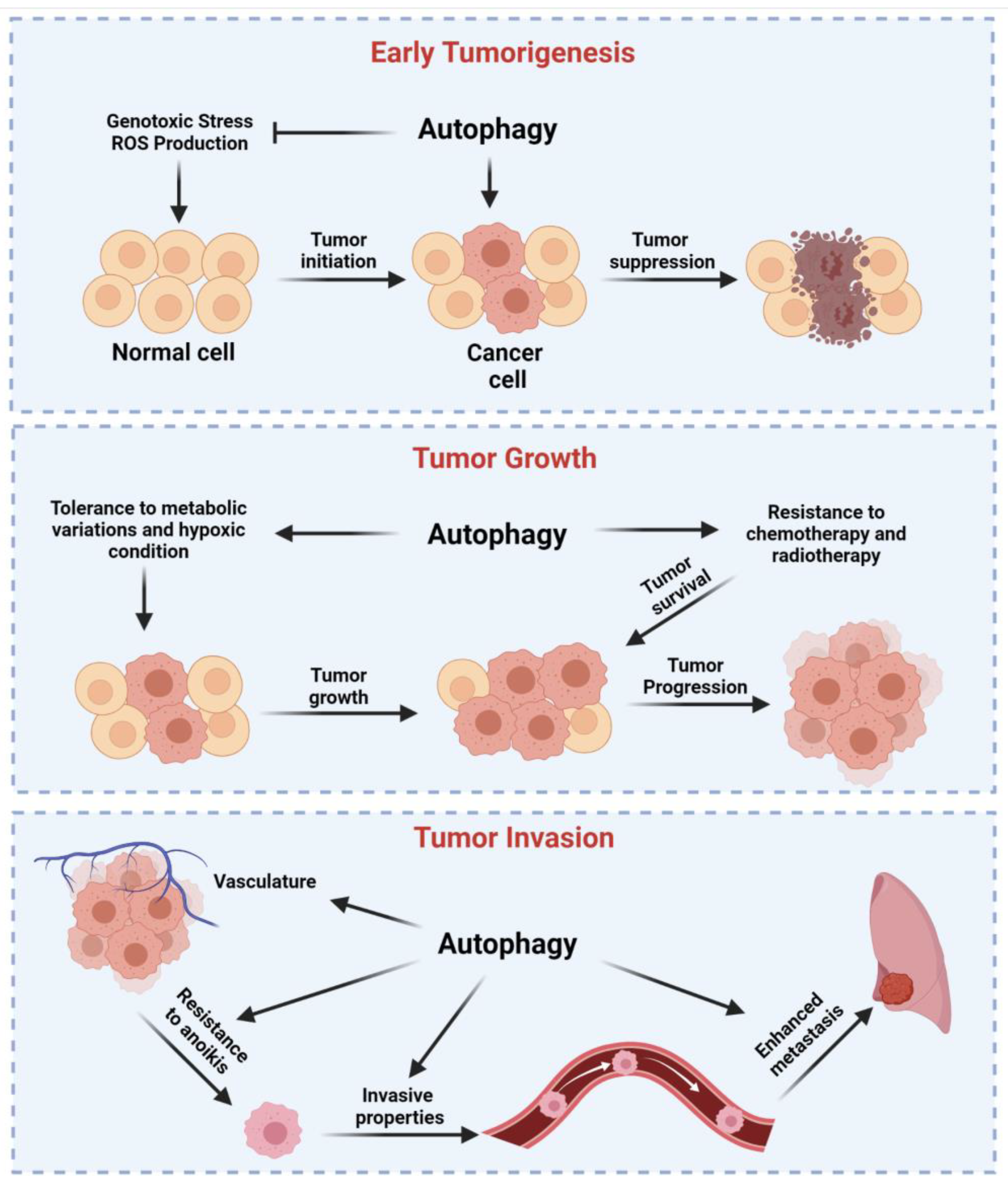 Cancers 13 05622 g002