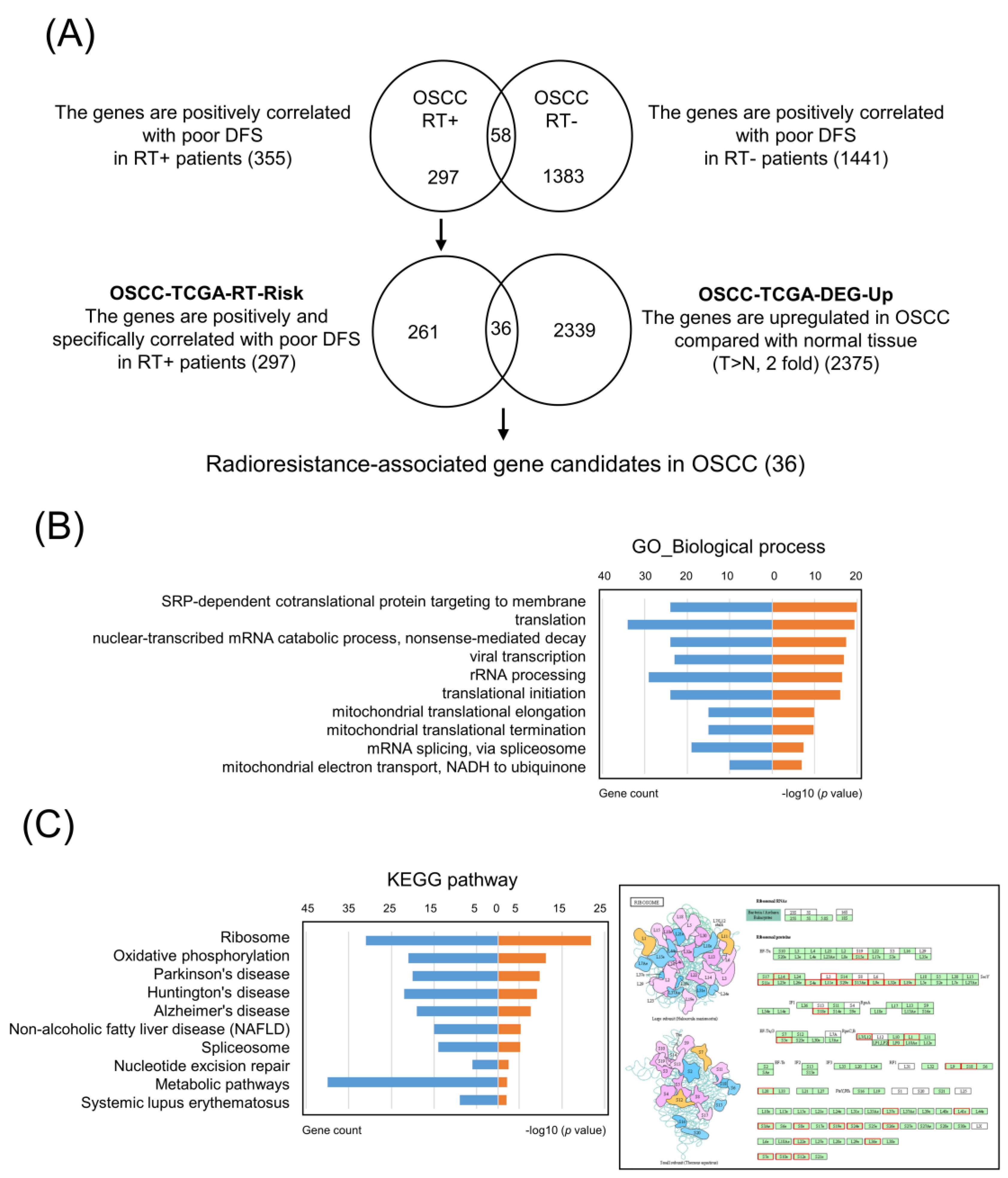 Cancers 13 05623 g001