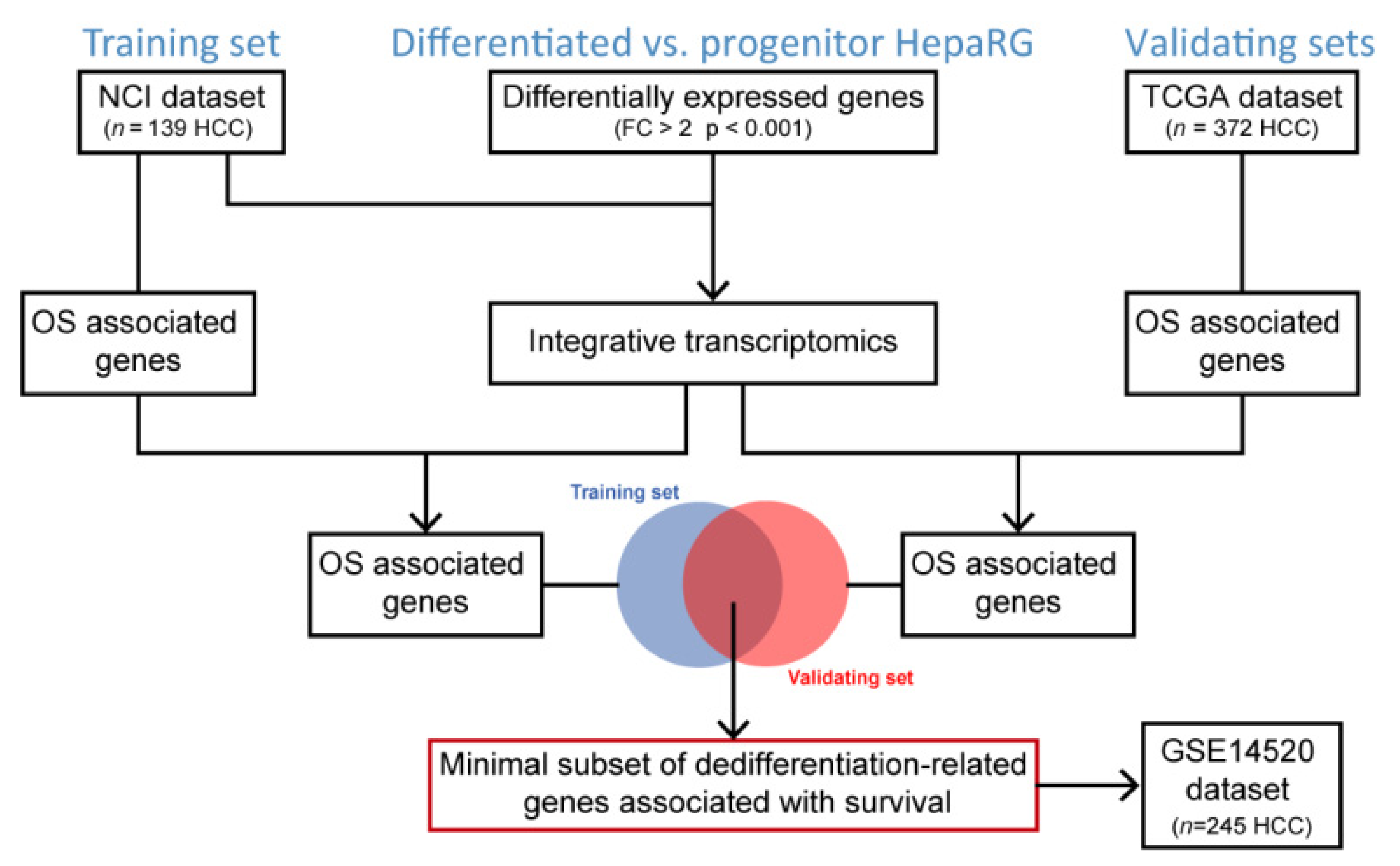 Cancers 13 05624 g001