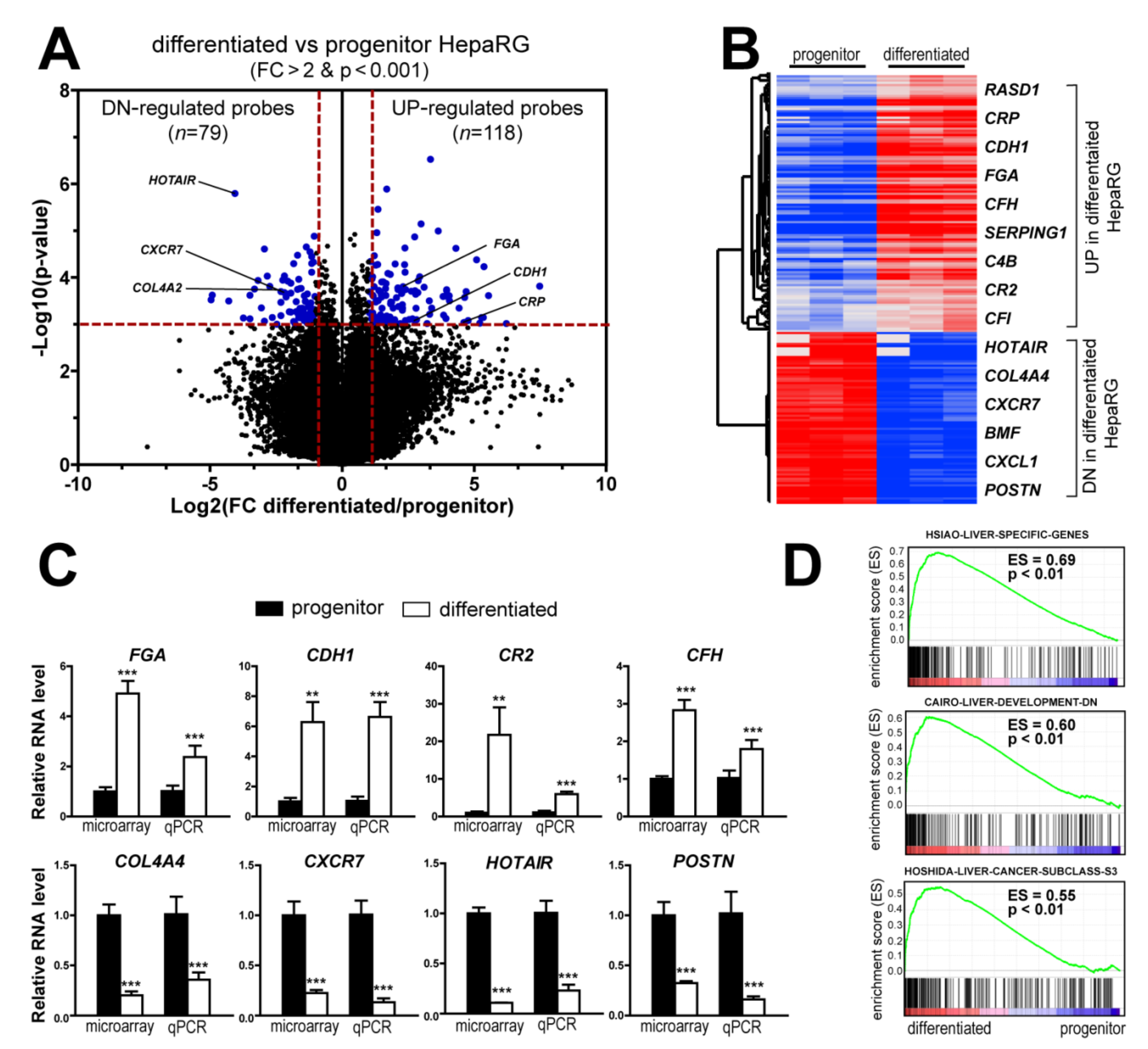 Cancers 13 05624 g002