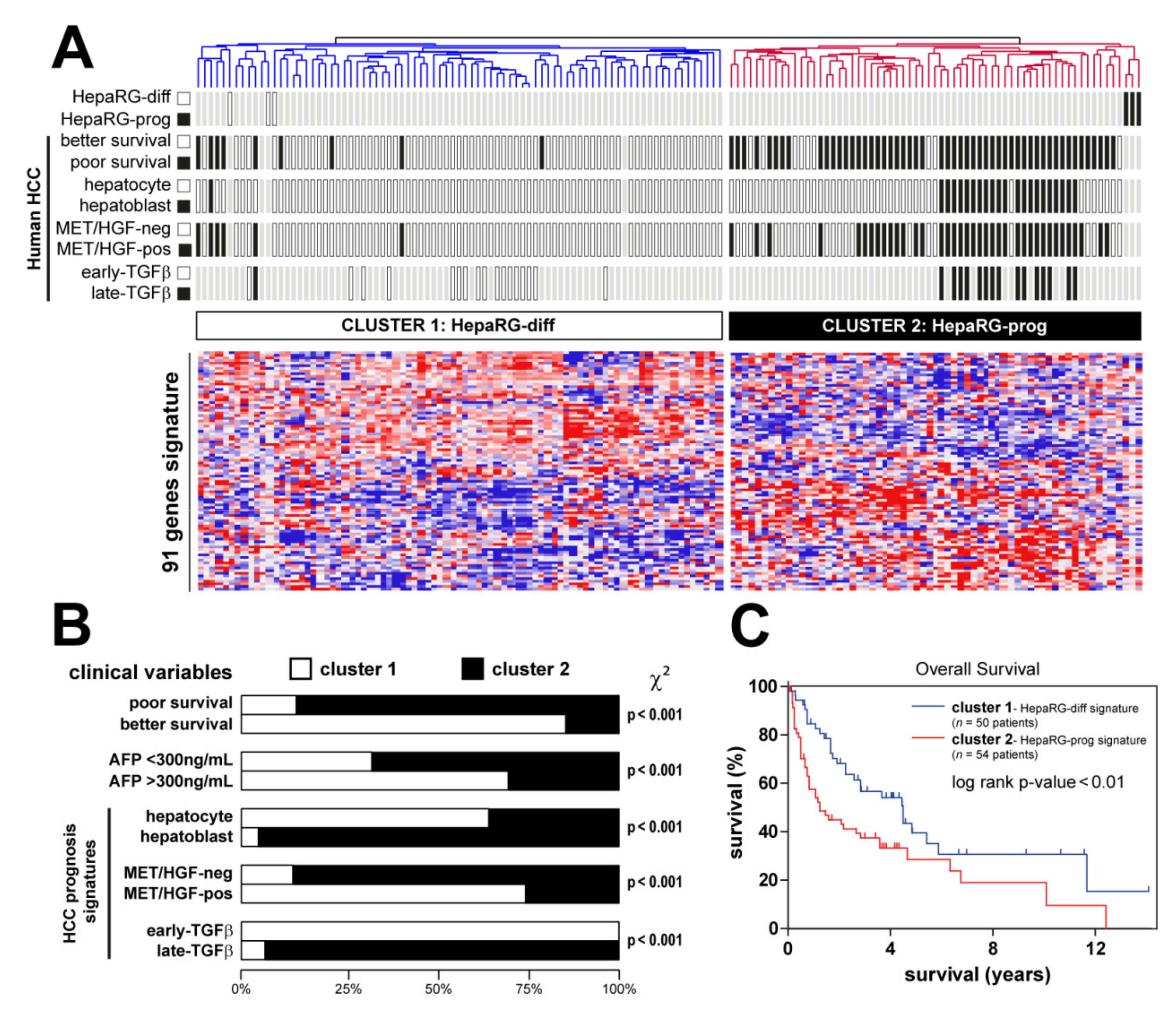 Cancers 13 05624 g004