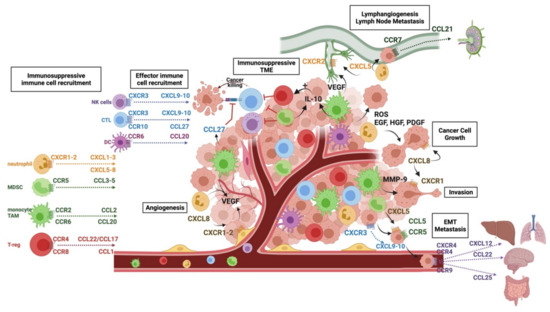 Cancers | Free Full-Text | Chemokine Pathways in Cutaneous Melanoma: Modulation by Cancer and Exploitation by the Clinician | HTML