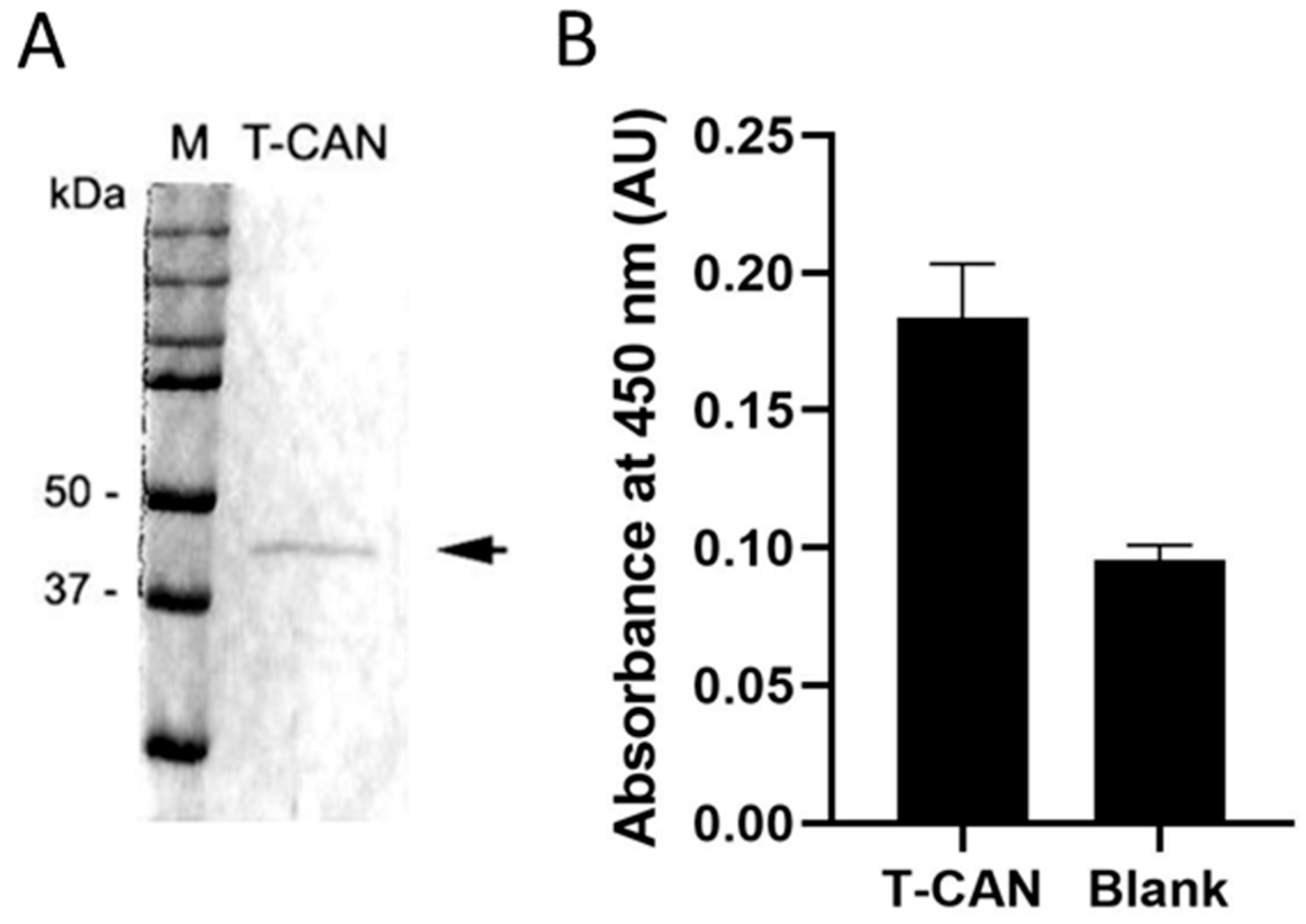 Cancers 13 05637 g004 550
