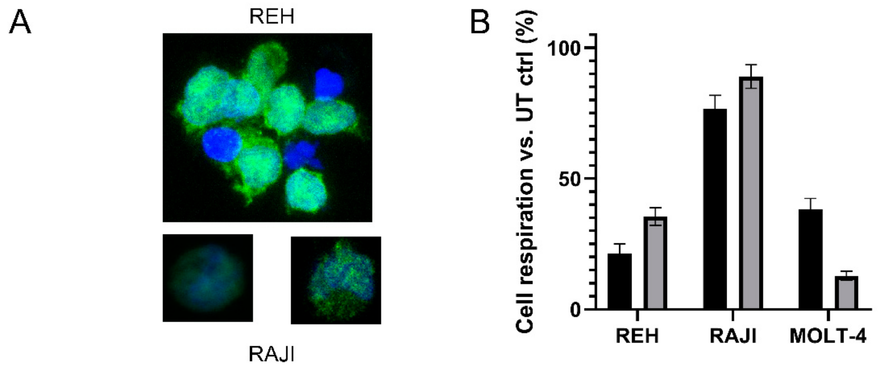 Cancers 13 05637 g005 550
