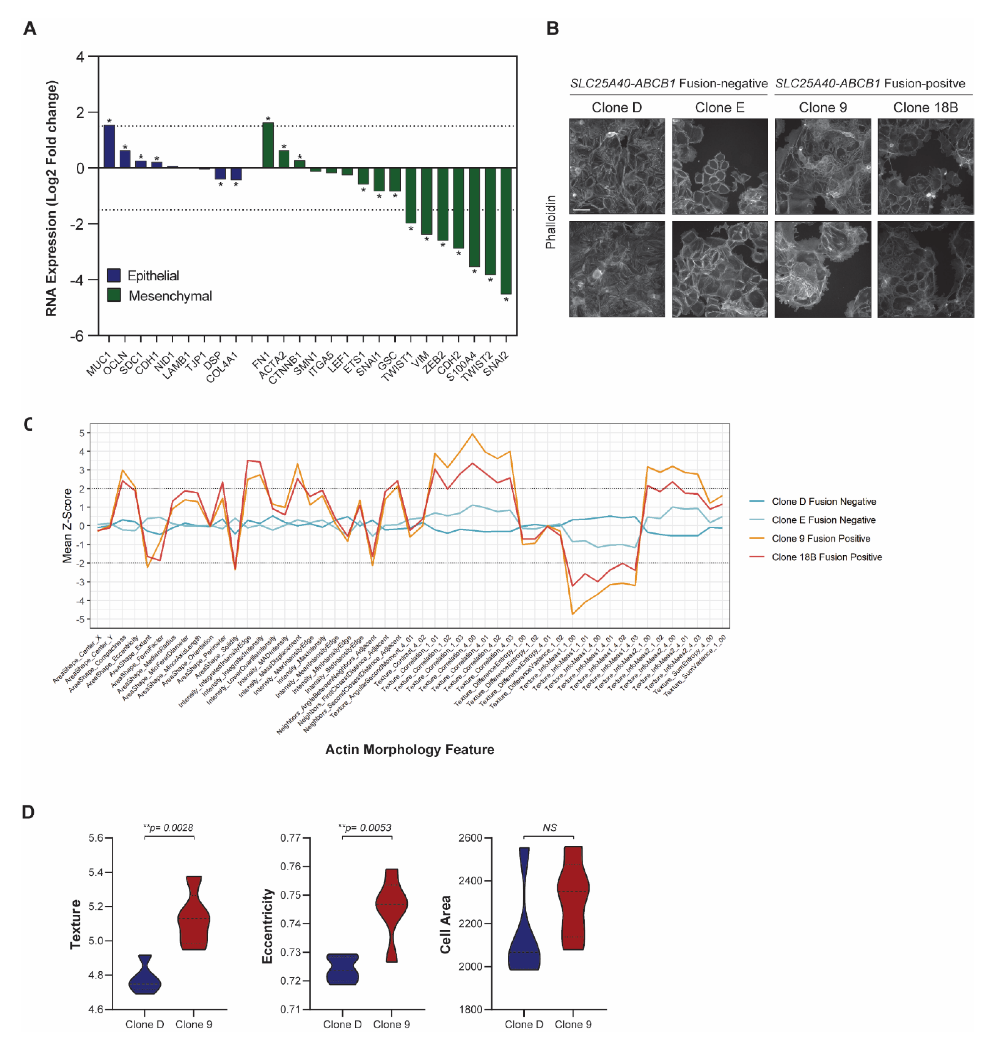 Cancers 13 05644 g004 550