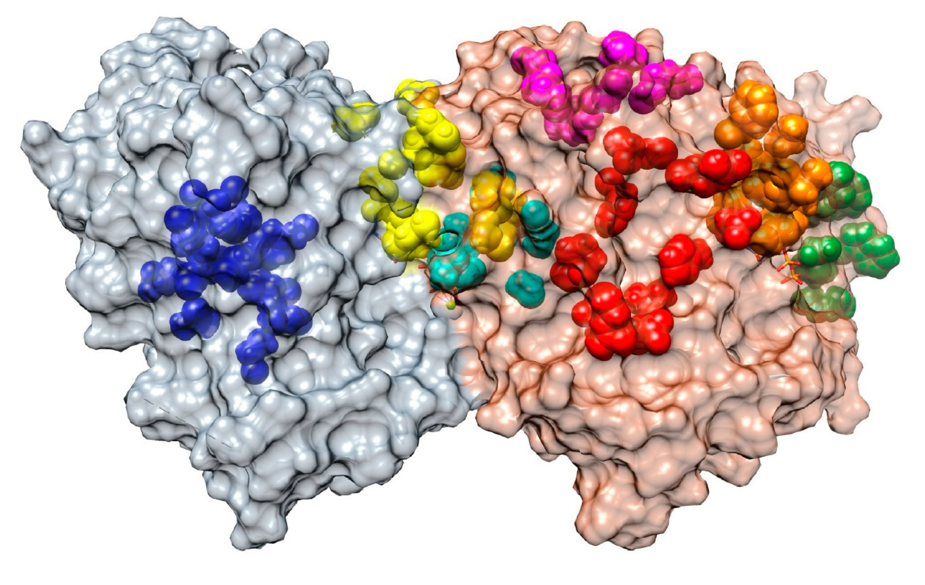 Cancers 13 05650 g002