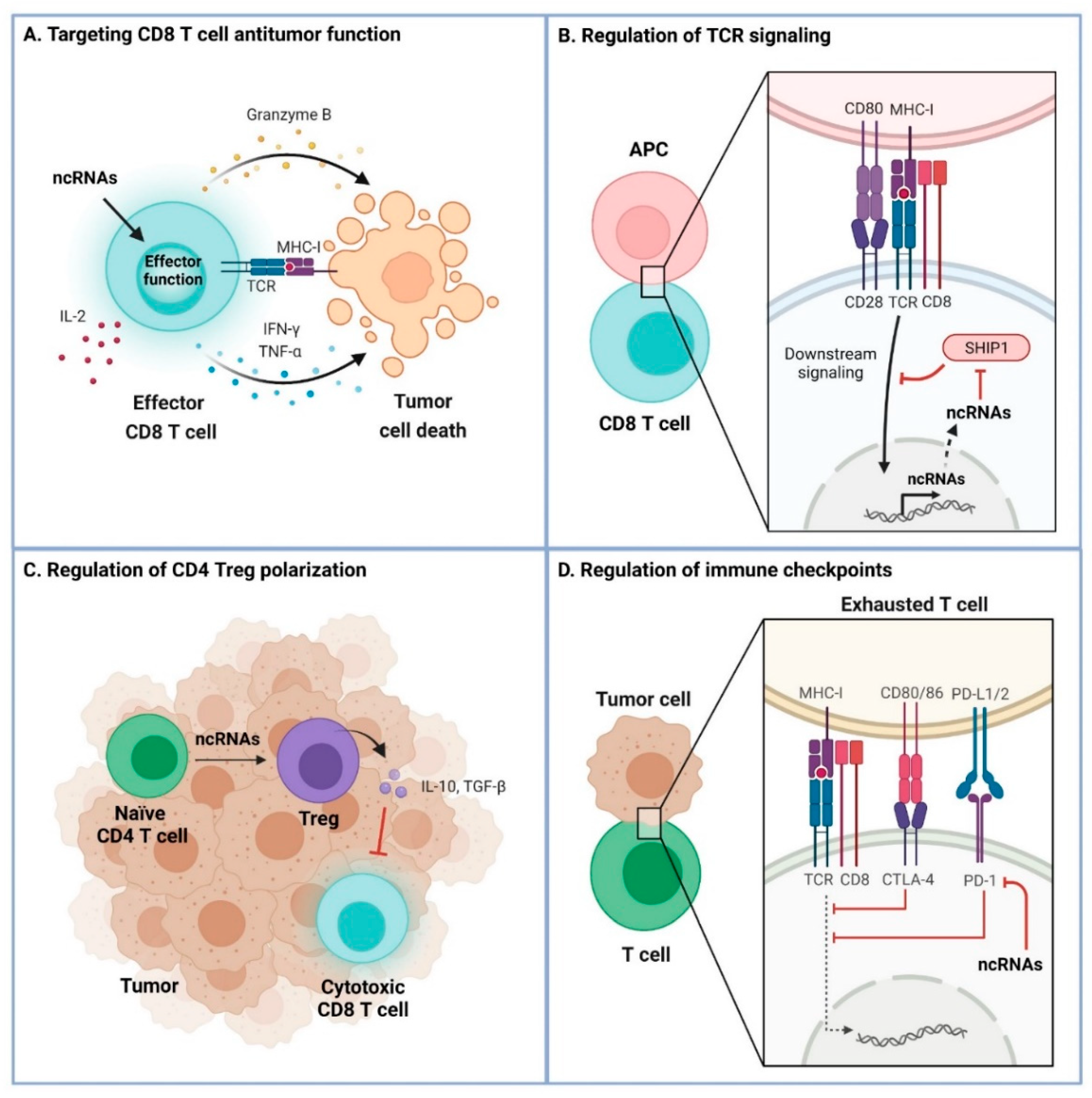 Cancers 13 05651 g002 550