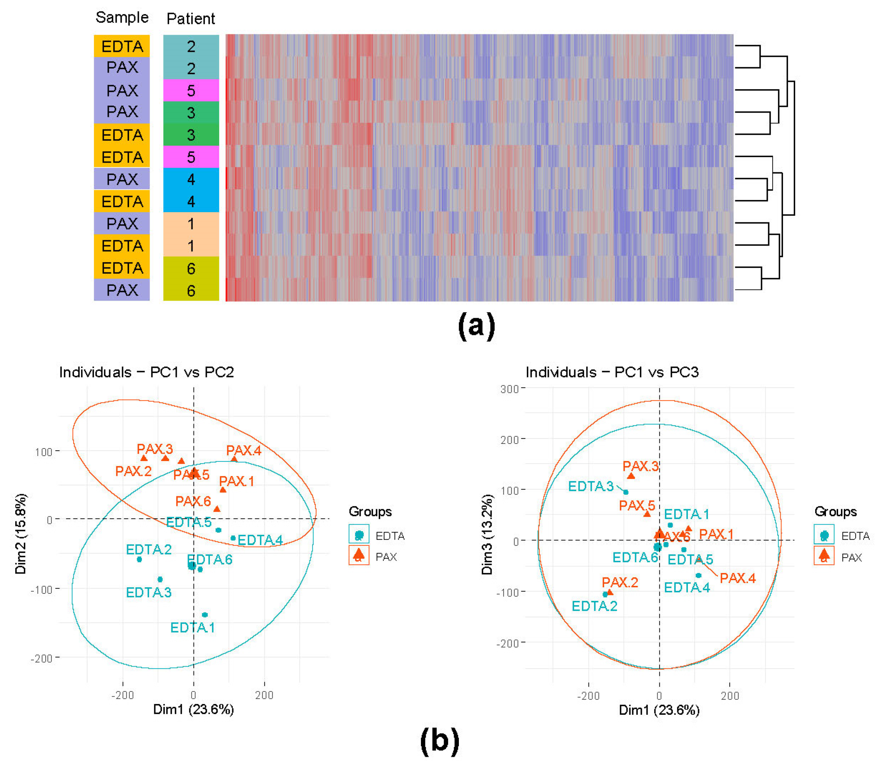Cancers 13 05653 g003