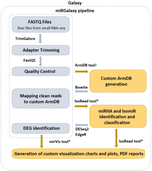 Cancers | Free Full-Text | miRGalaxy: Galaxy-Based Framework for  Interactive Analysis of microRNA and isomiR Sequencing Data