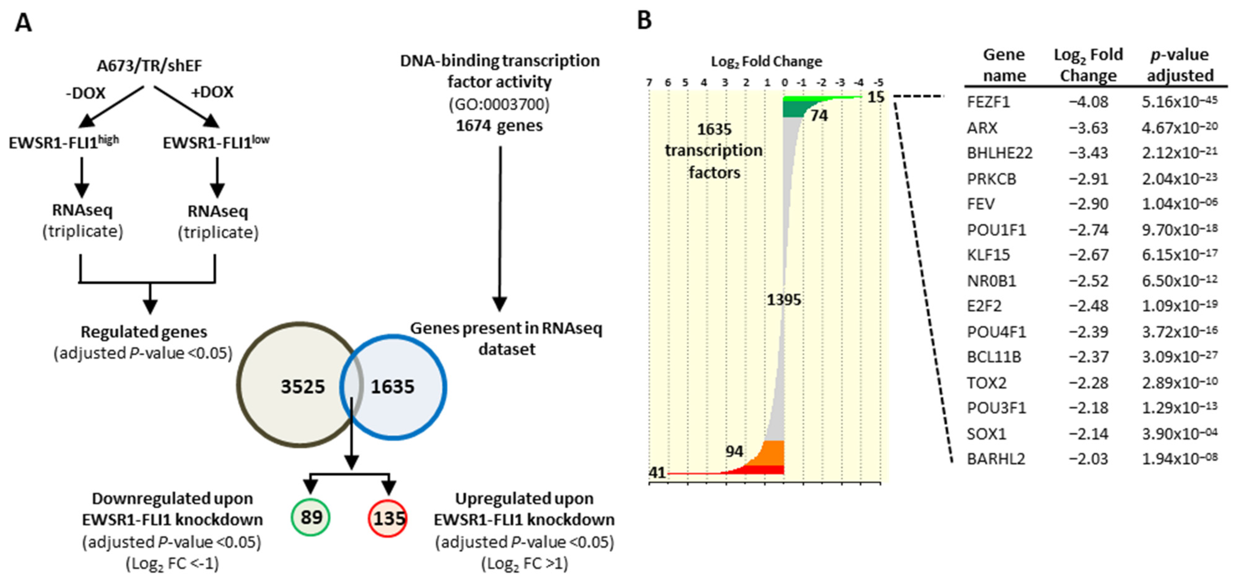 Cancers 13 05668 g001 Cancers 13 05668 g001