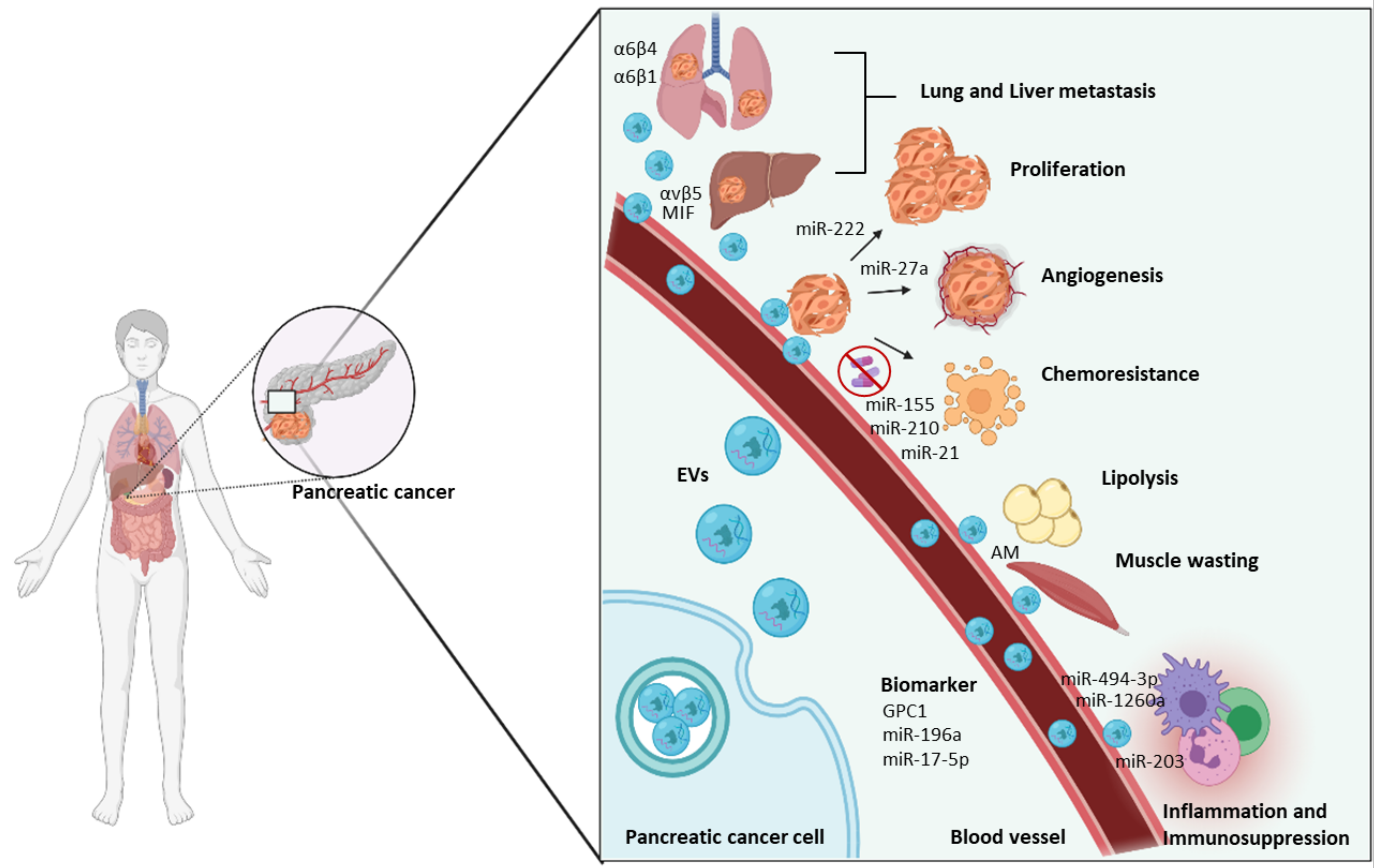 Cancers 13 05669 g002 550