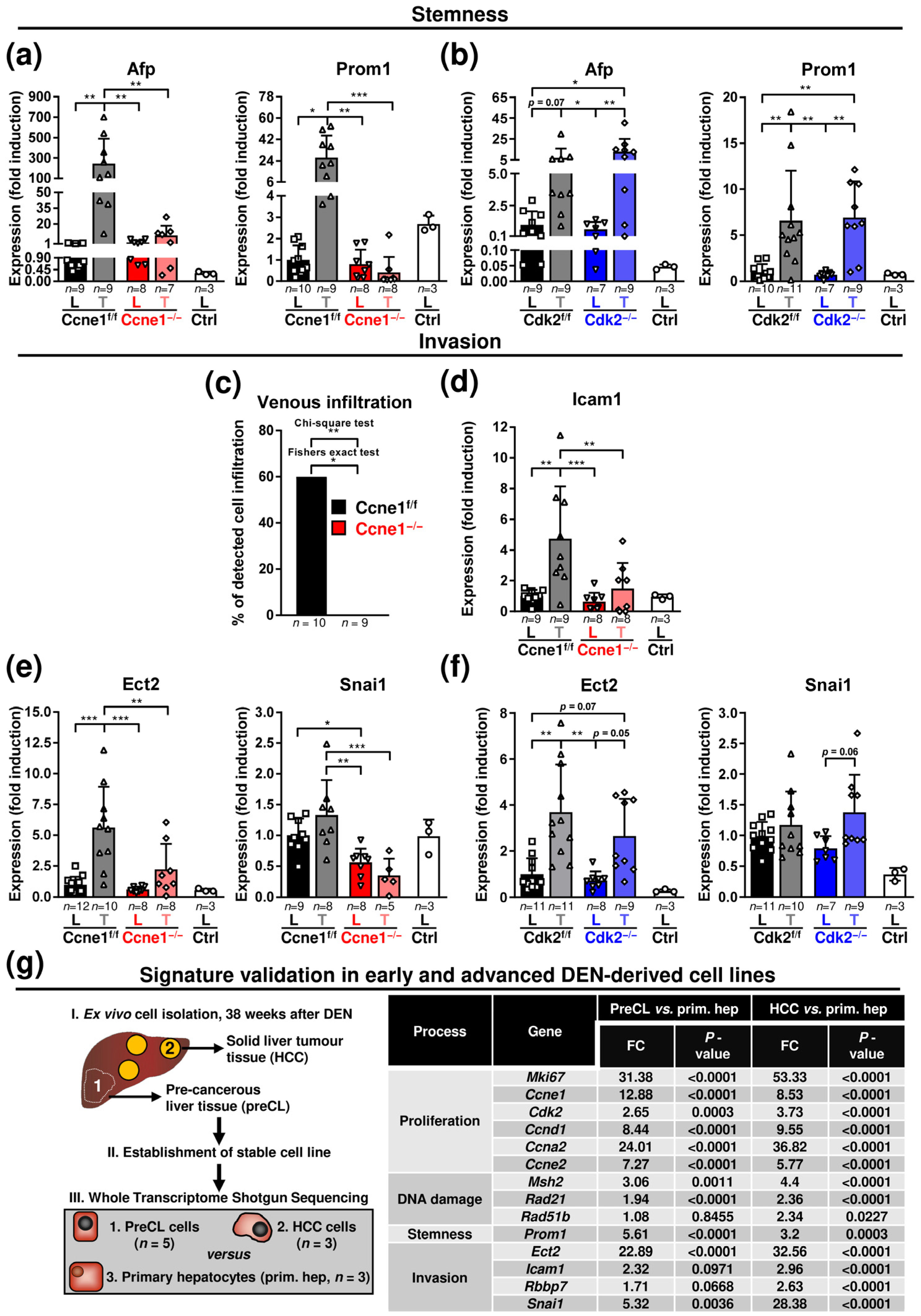 Cancers 13 05680 g004