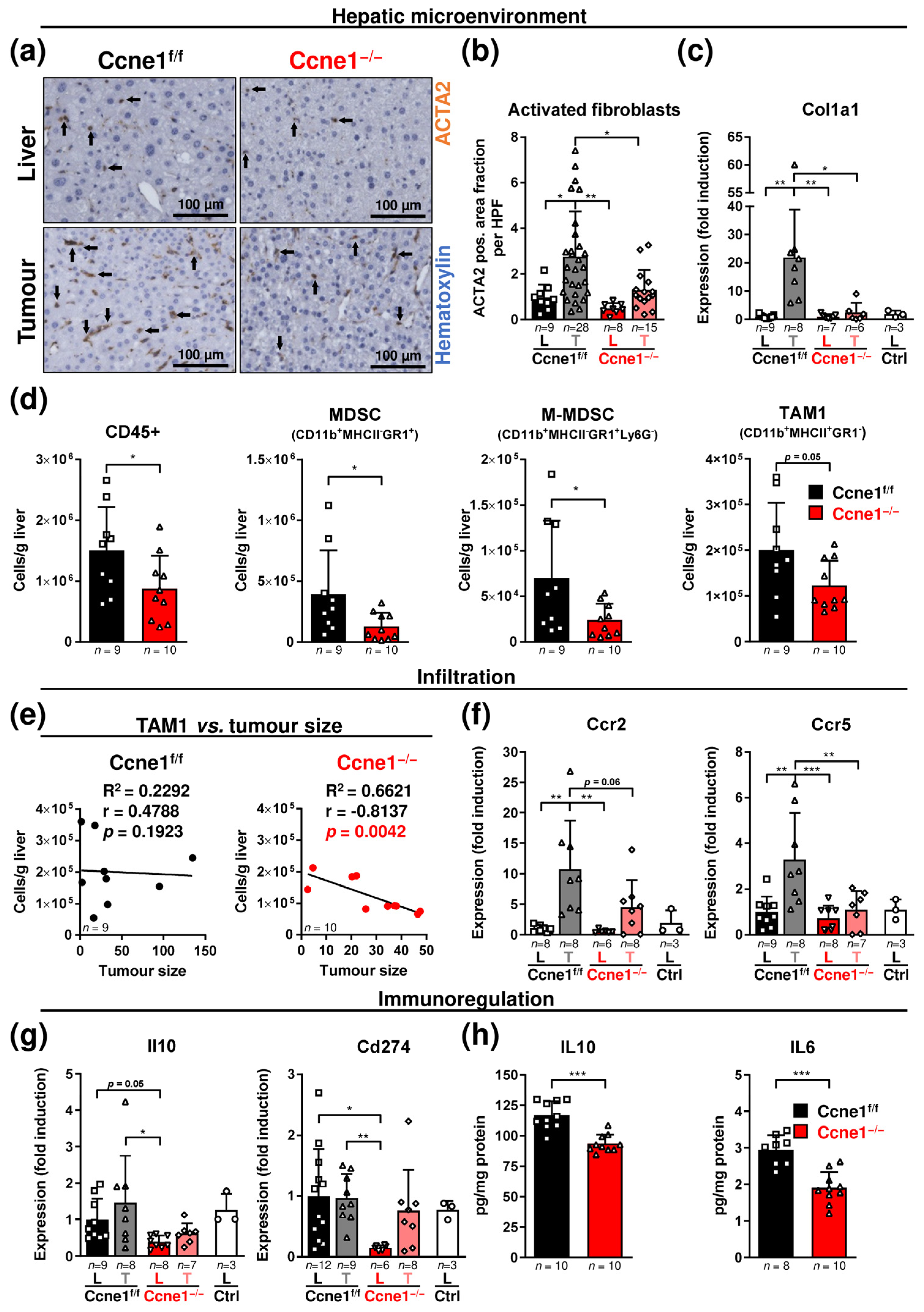 Cancers 13 05680 g005