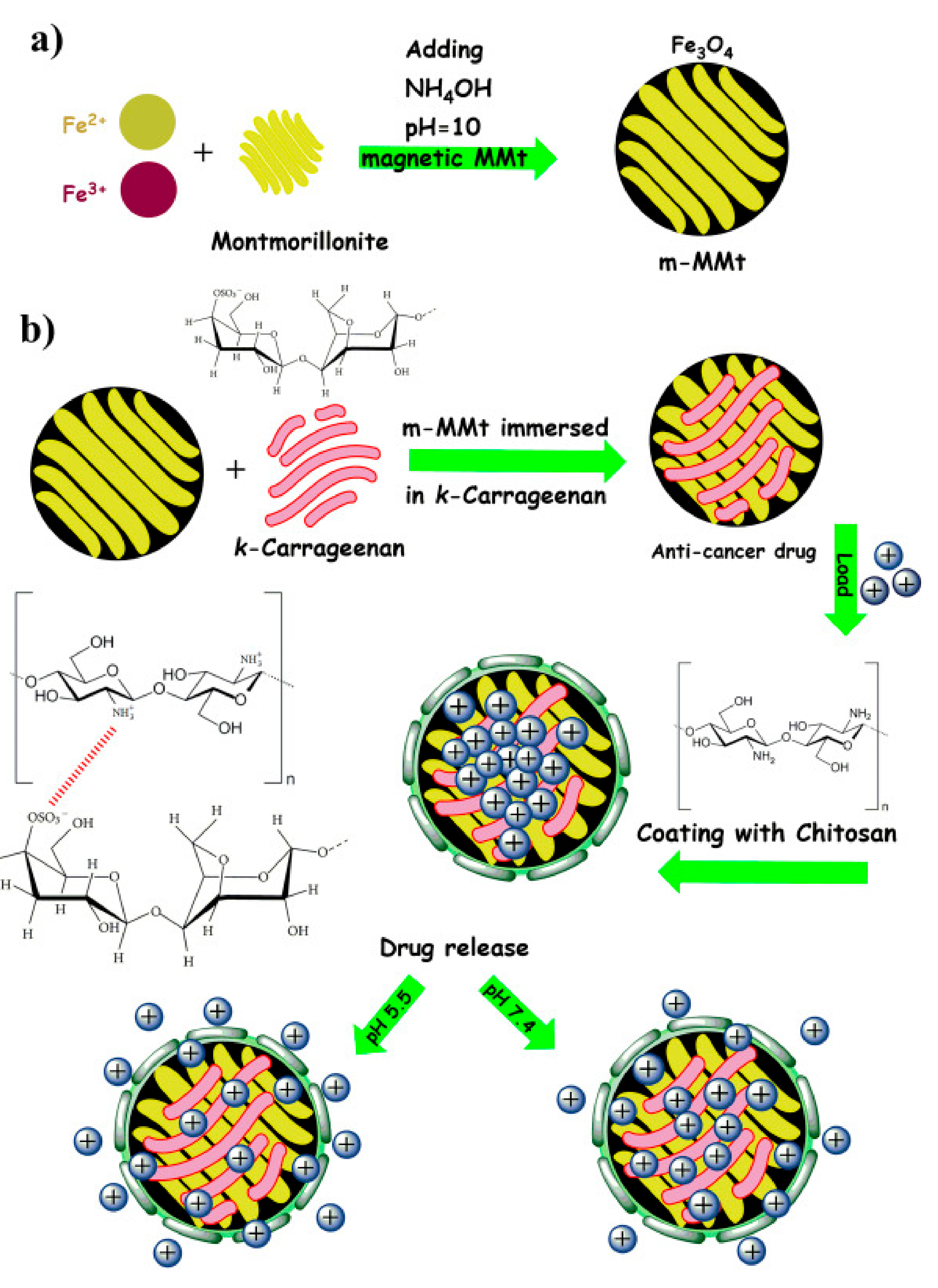 Cancers 13 05686 g001 550