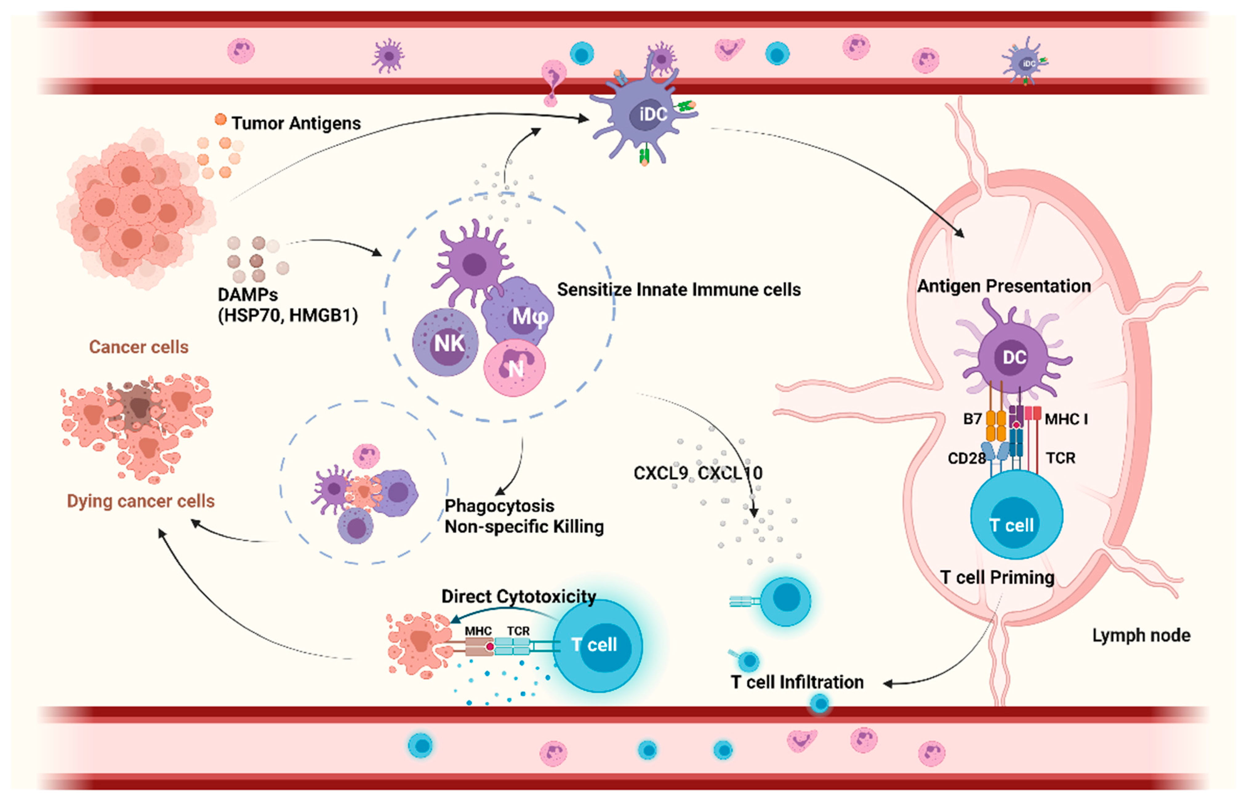 Cancers 13 05695 g001 550