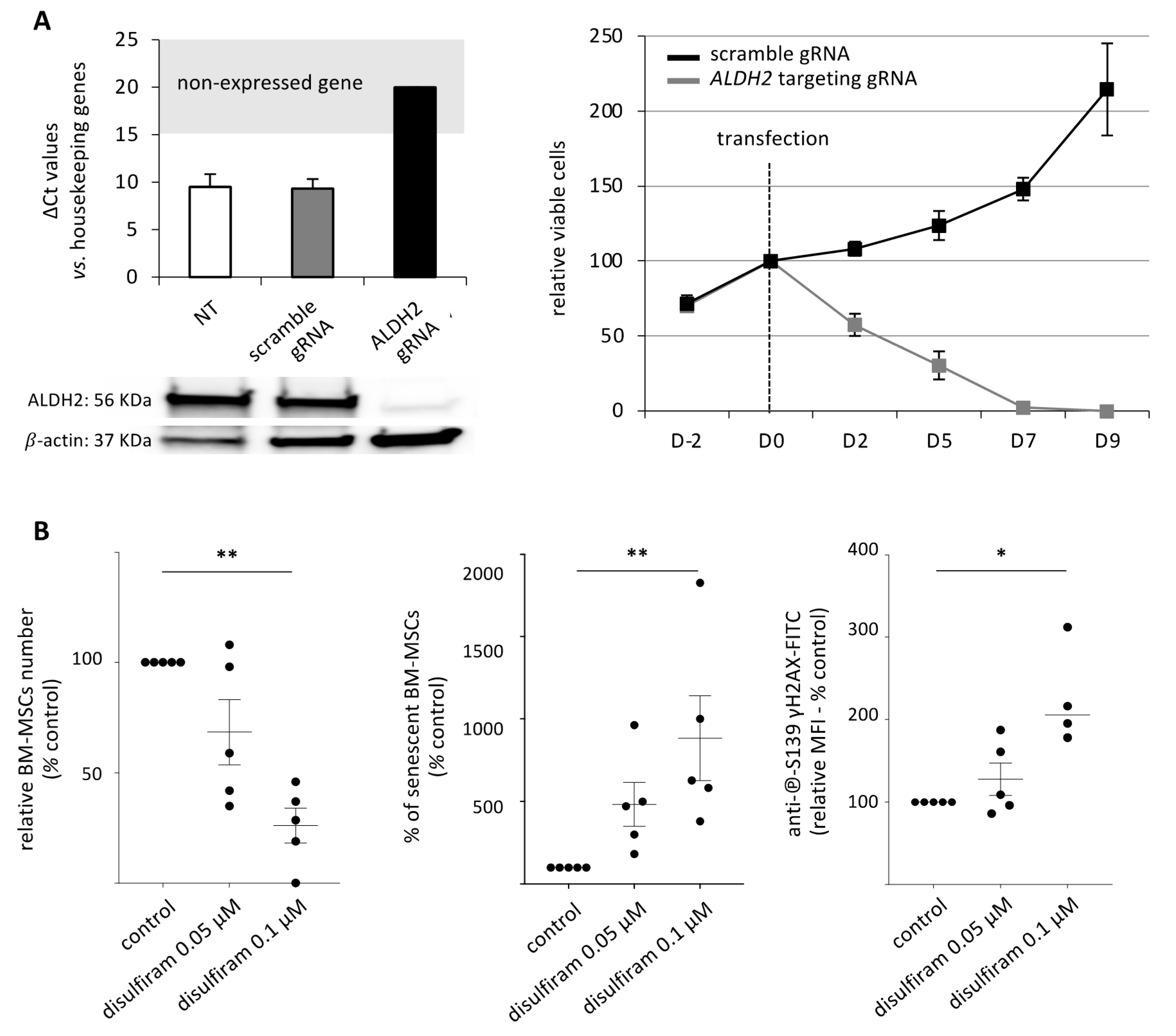 Cancers 13 05699 g004