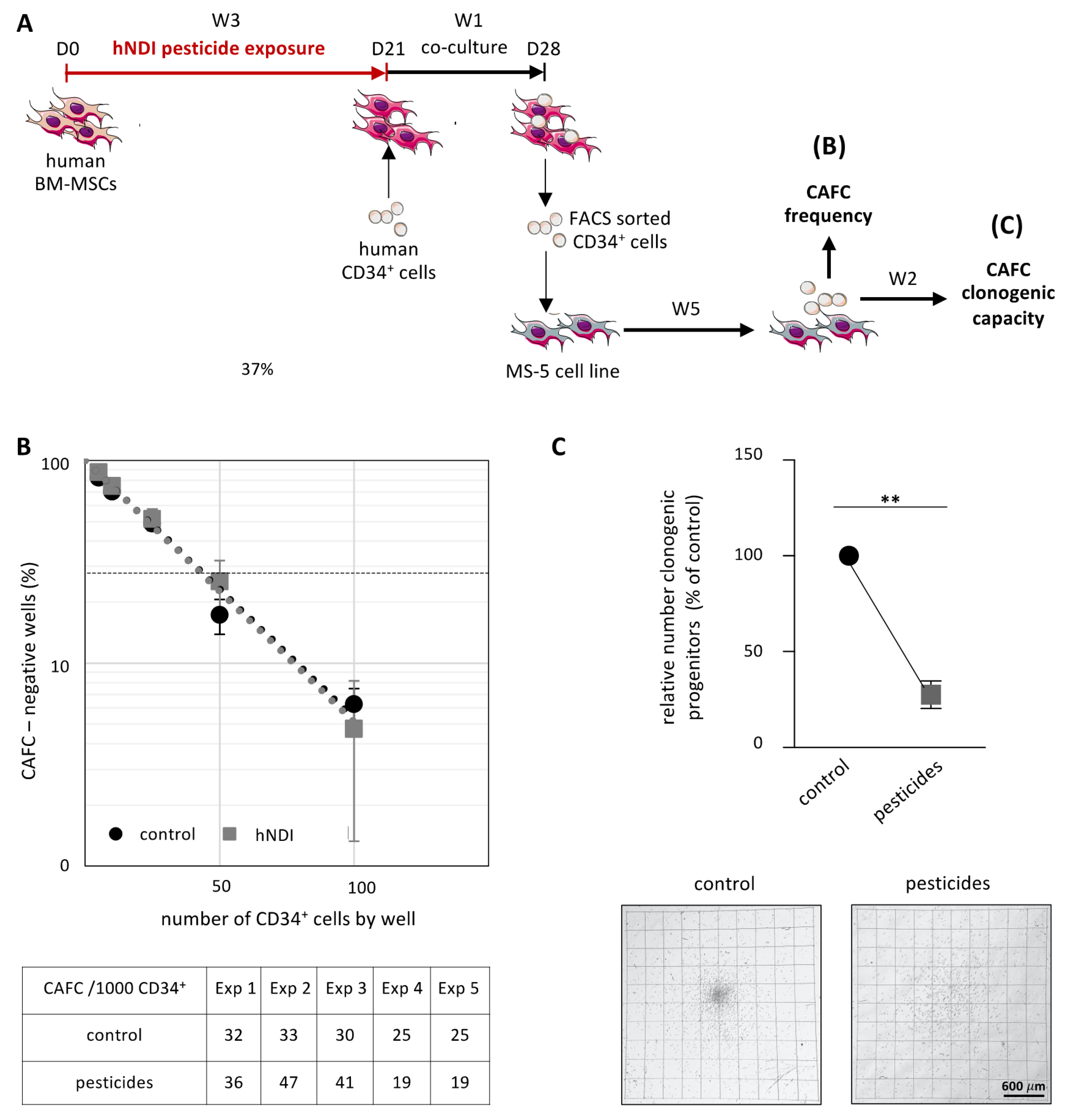 Cancers 13 05699 g005