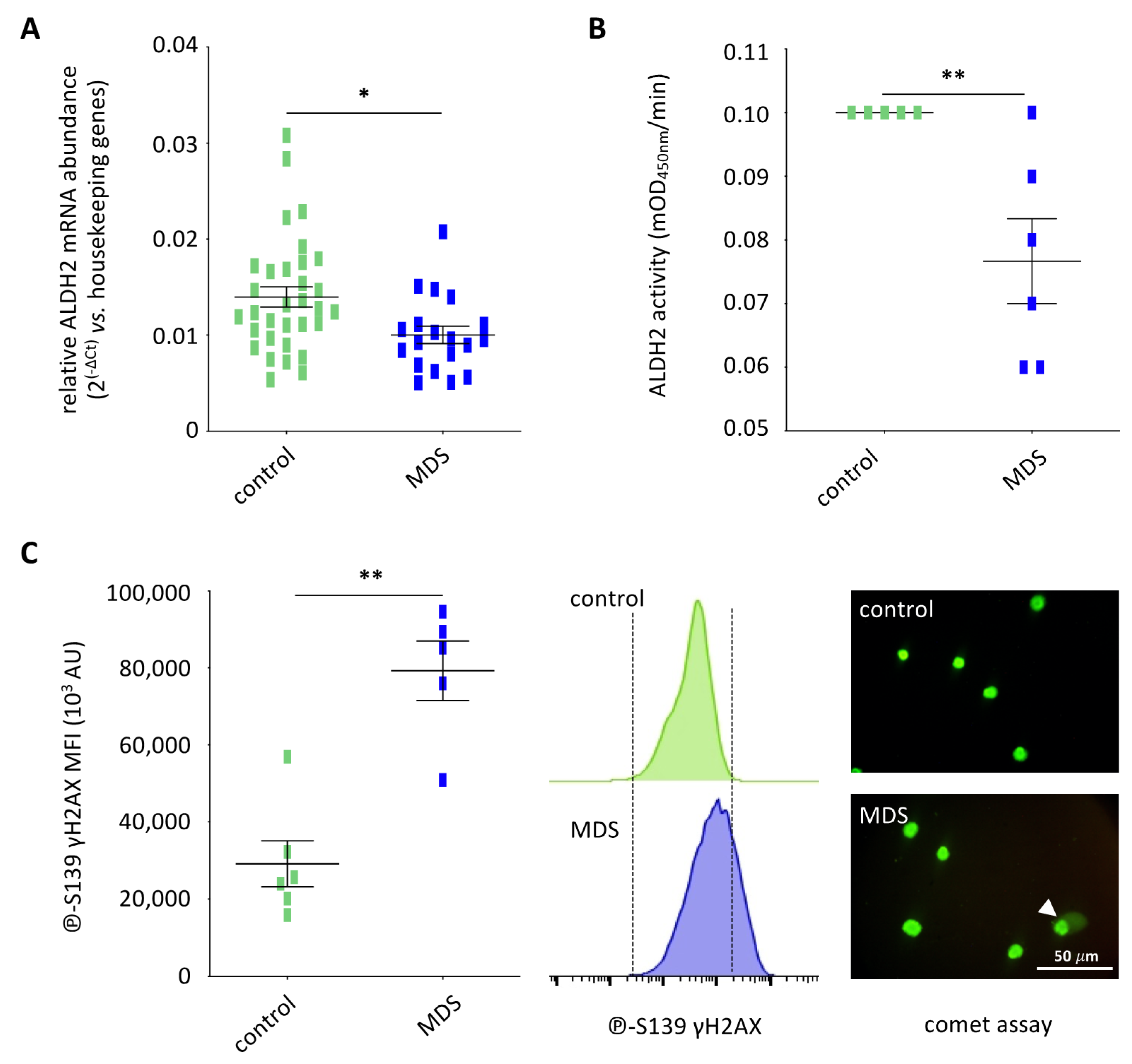 Cancers 13 05699 g006