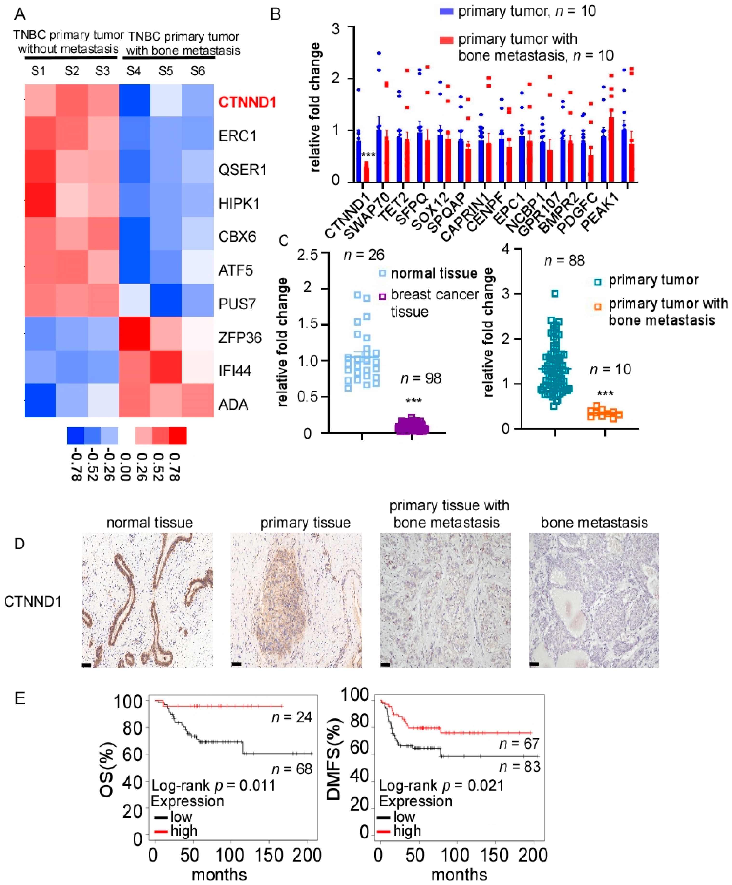 Cancers 13 05703 g001 Cancers 13 05703 g001