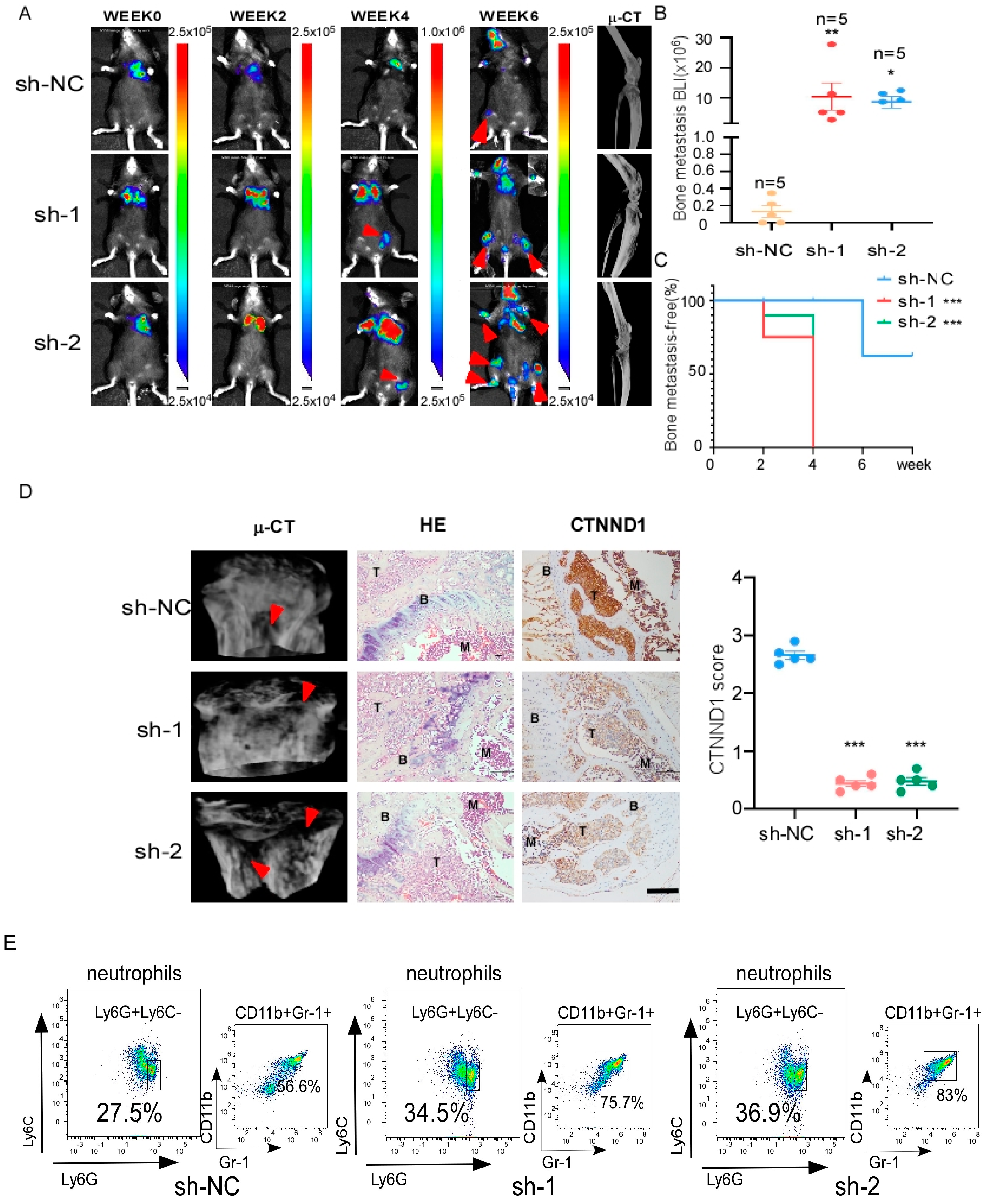 Cancers 13 05703 g002 Cancers 13 05703 g002