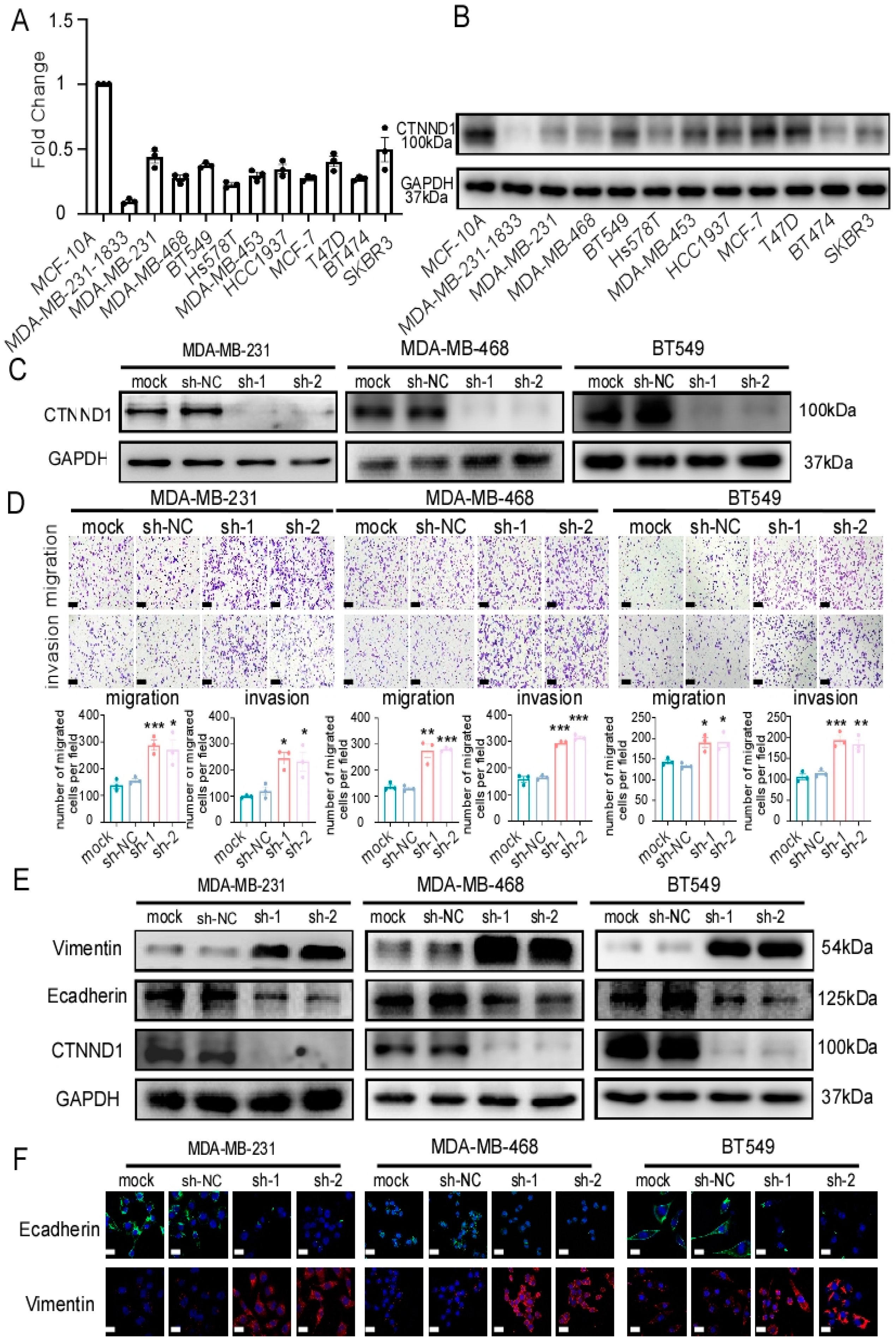 Cancers 13 05703 g003 Cancers 13 05703 g003