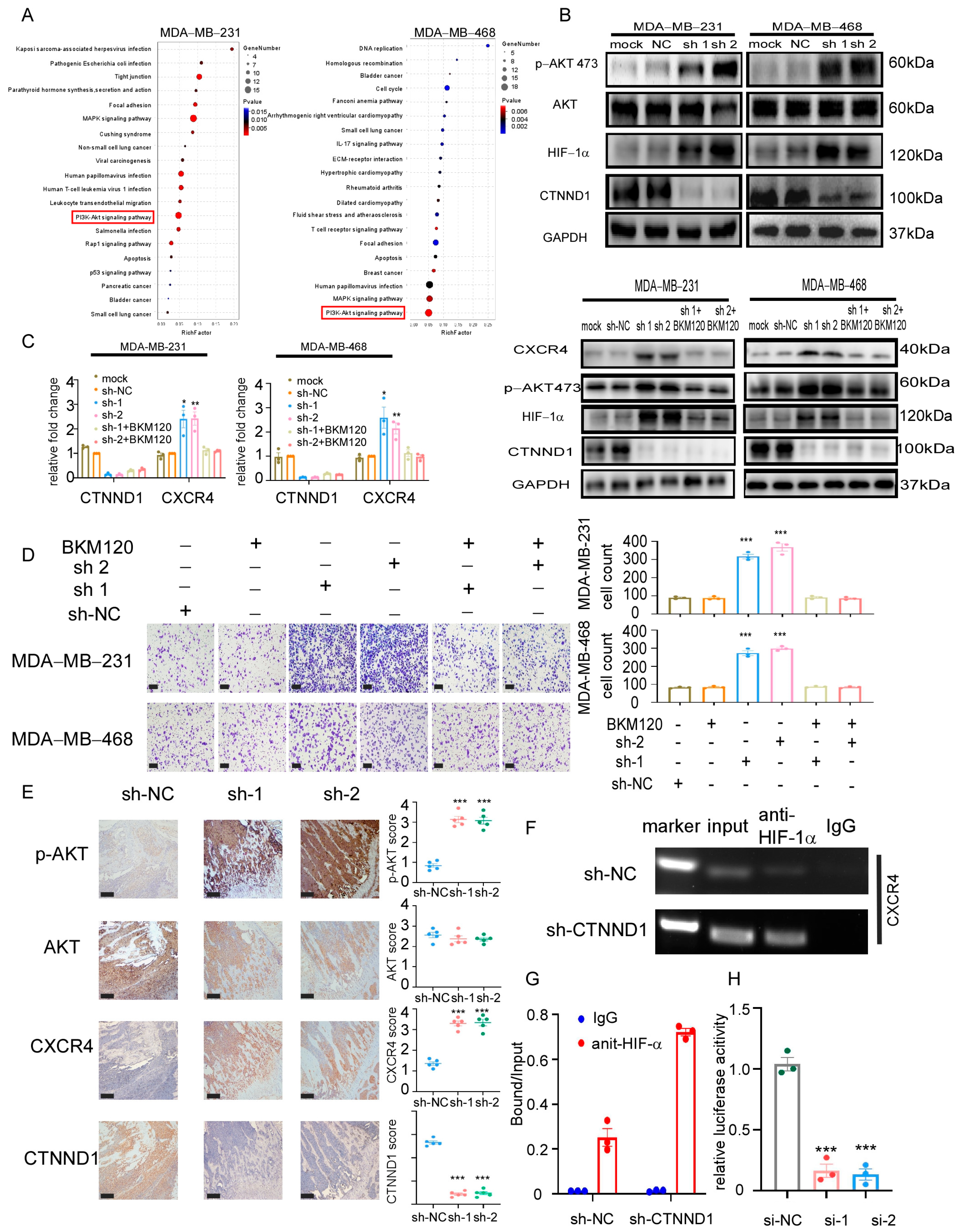 Cancers 13 05703 g005 Cancers 13 05703 g005