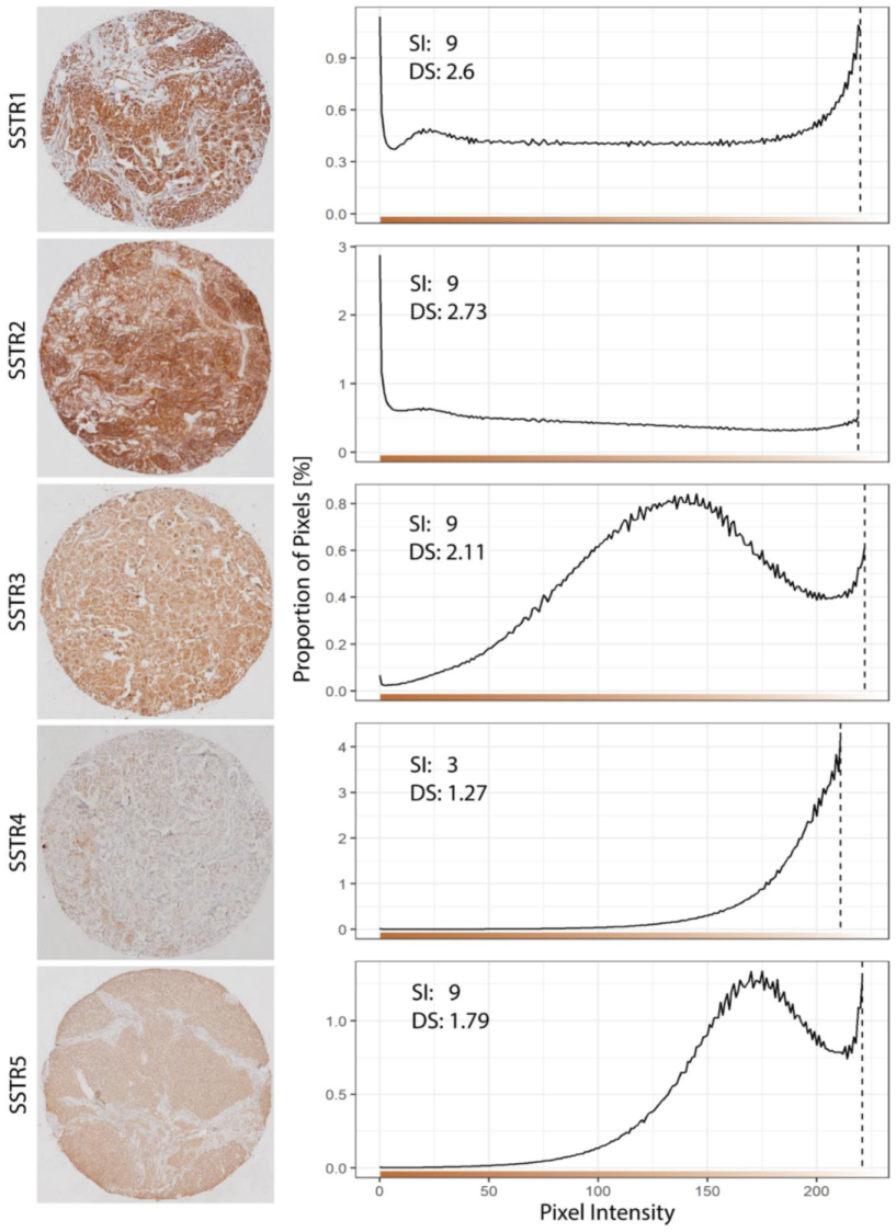 Cancers 13 05704 g002 Cancers 13 05704 g002