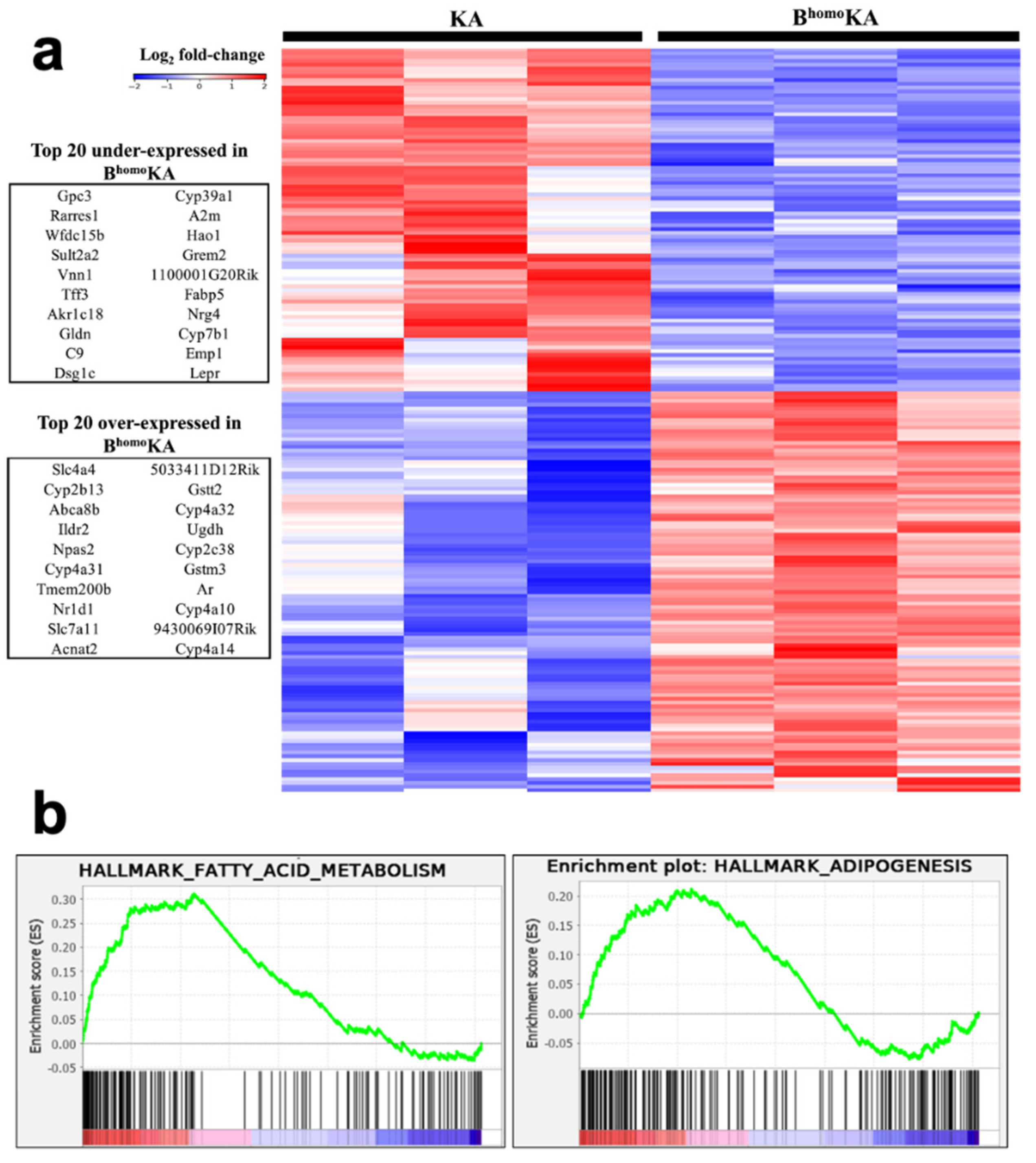 Cancers 13 05709 g003 550