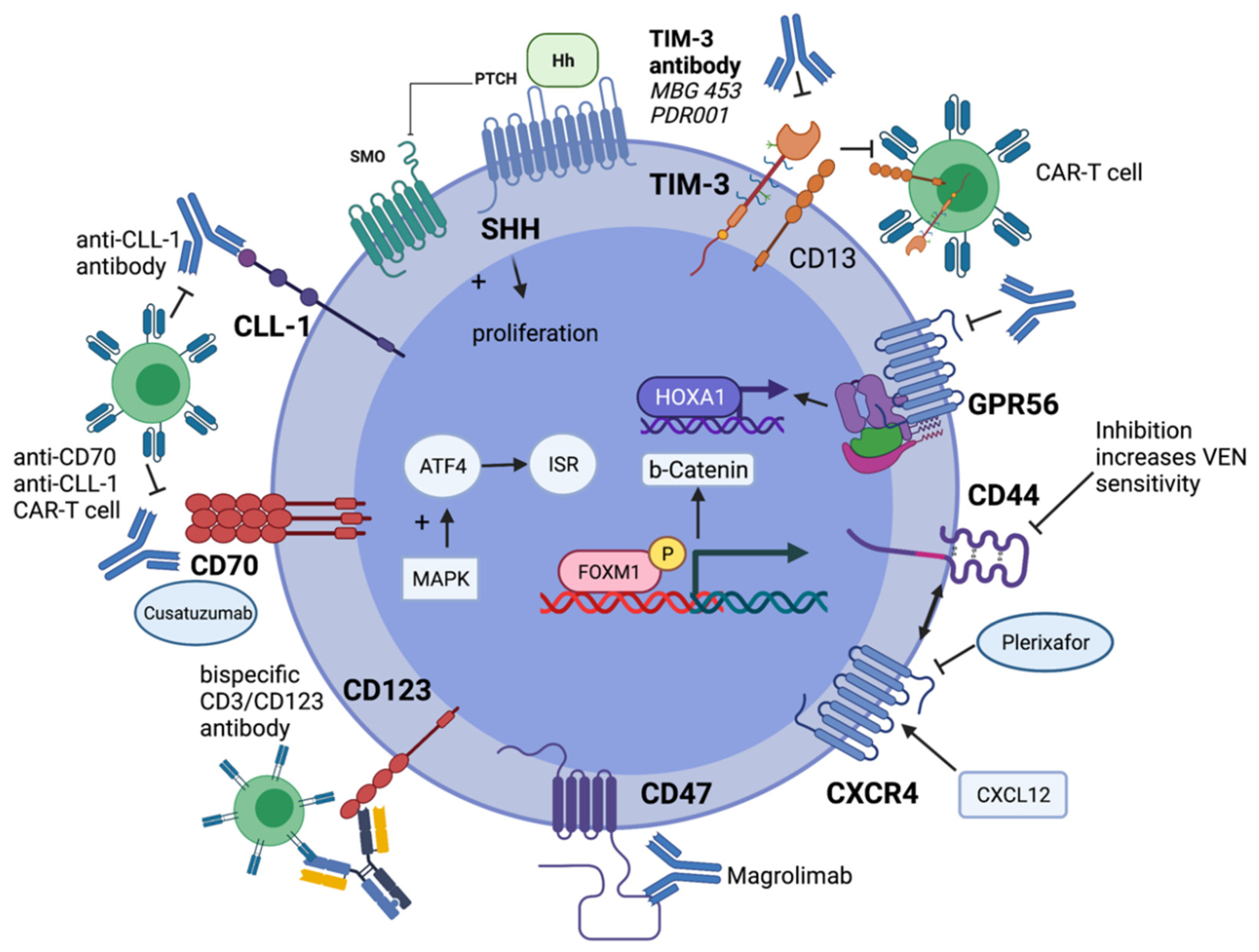 Cancers 13 05722 g002 Cancers 13 05722 g002