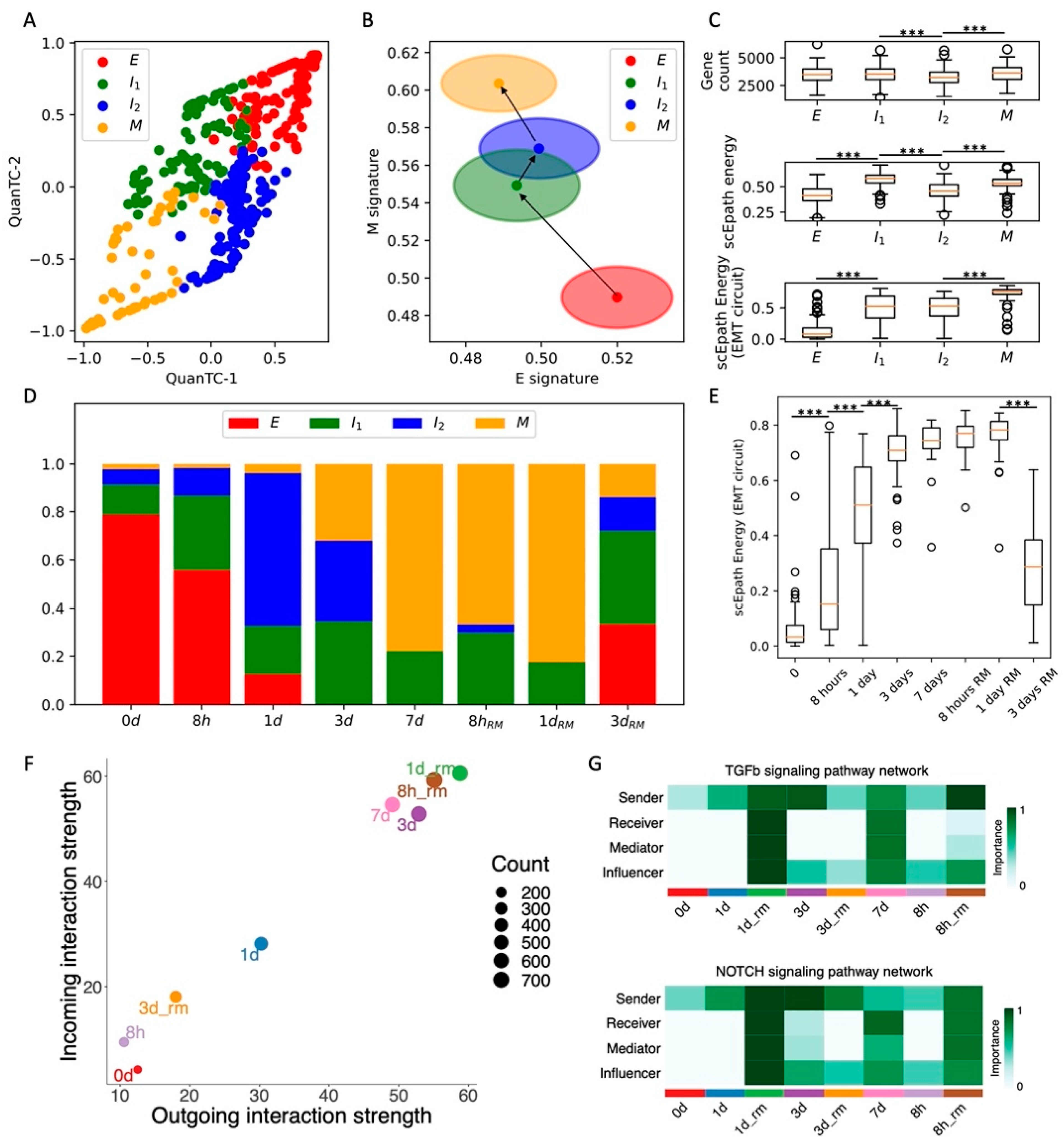 Cancers 13 05726 g002 550
