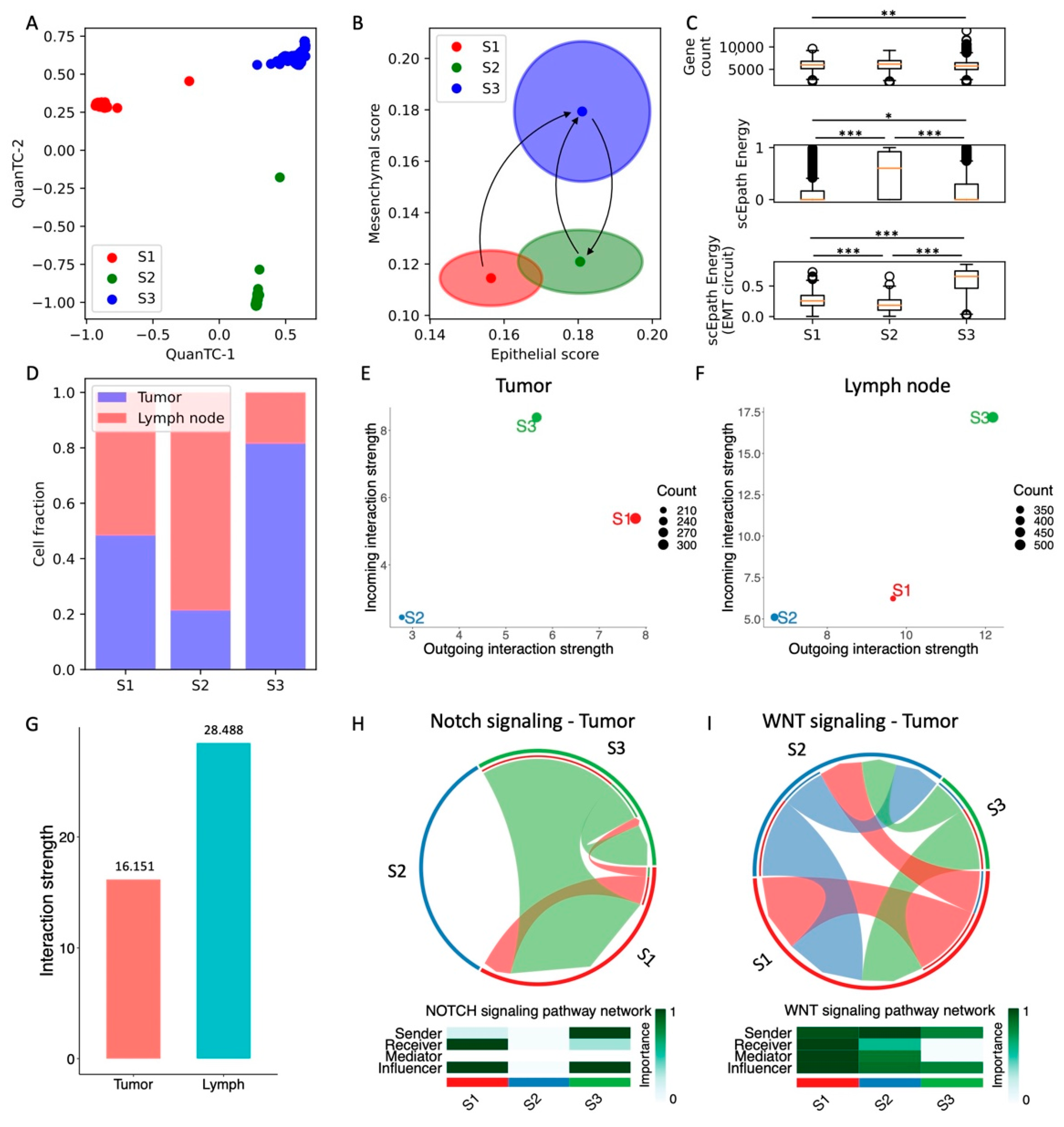 Cancers 13 05726 g005 550