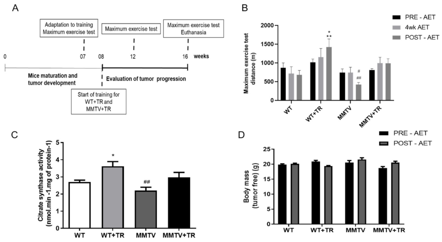 Cancers 13 05728 g002 550