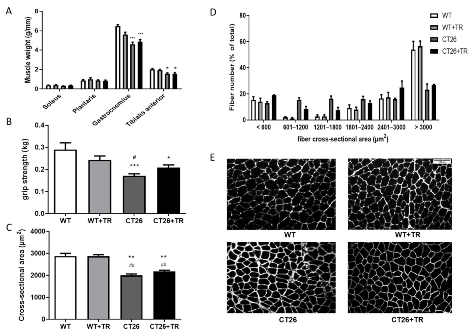 Cancers 13 05728 g003 550