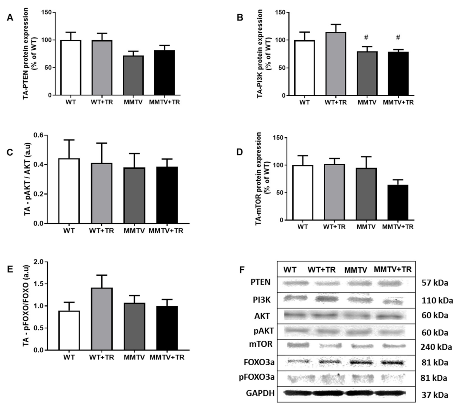 Cancers 13 05728 g010 550